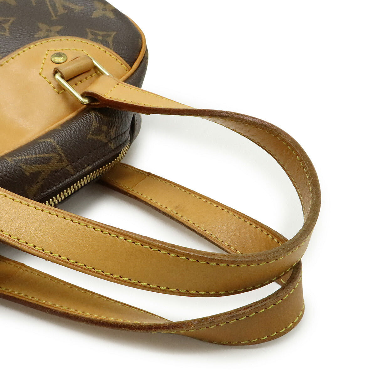 Louis Vuitton Monogram Shoes Bag