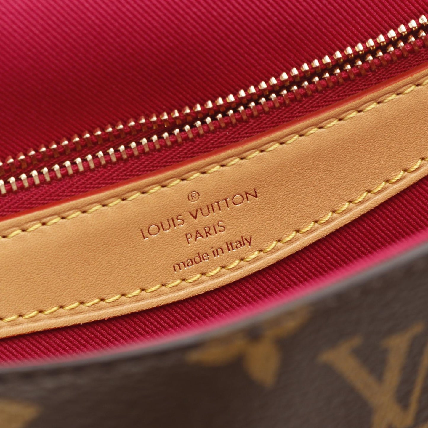 Louis Vuitton Diane NM PM Monogram Shoulder Bag
