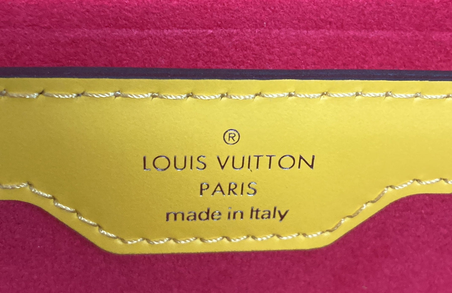 Louis Vuitton Papillon Trunk Bag Epi Leather