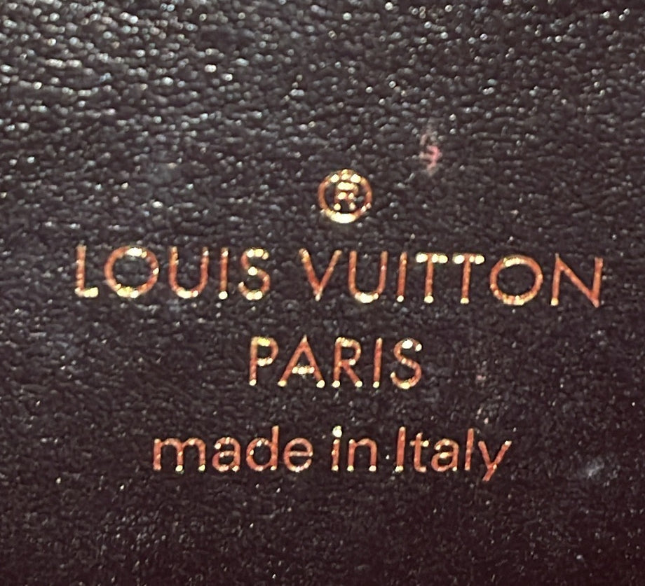 Louis Vuitton LV Pont 9 Bag Leather