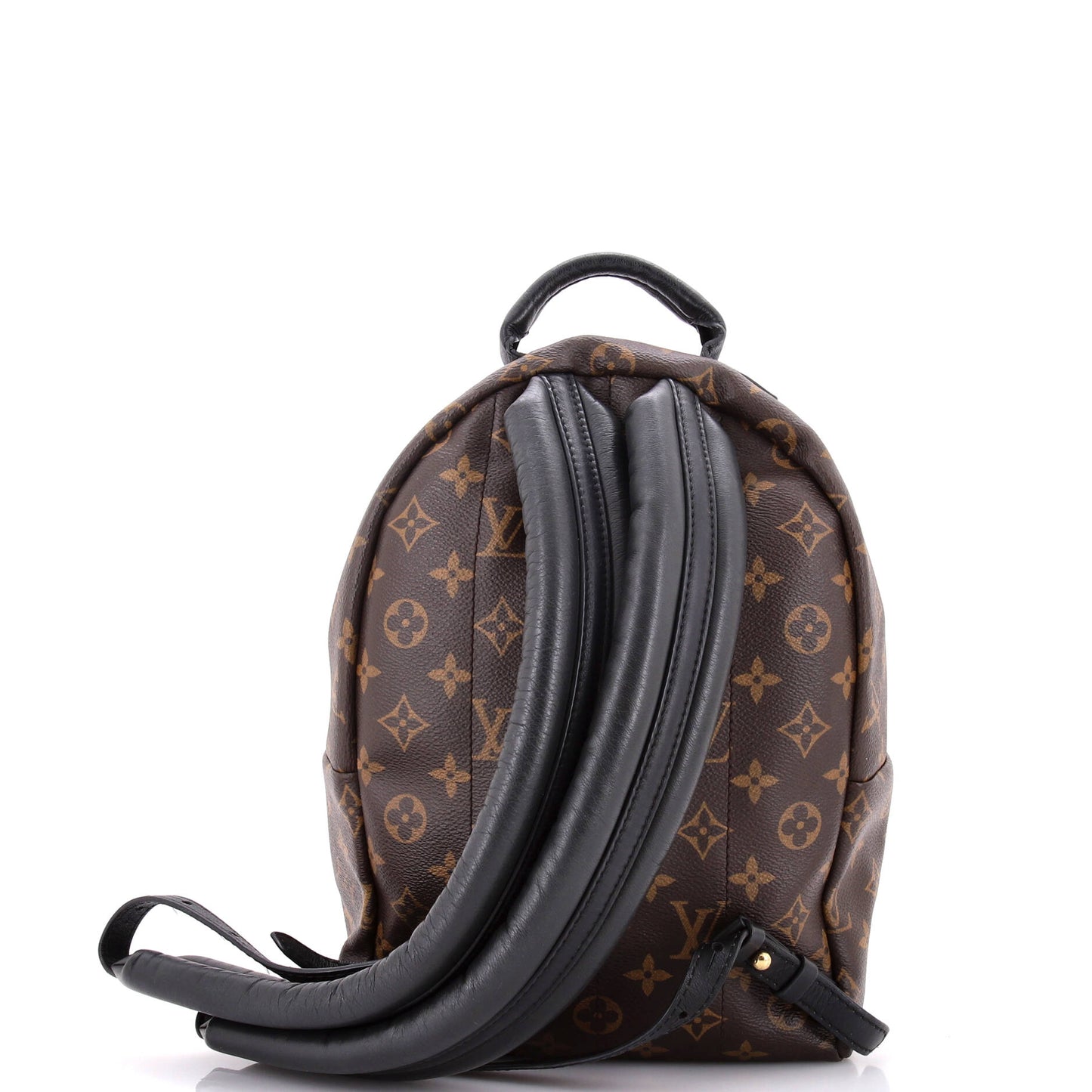 Louis Vuitton Palm Springs Backpack Monogram Canvas PM