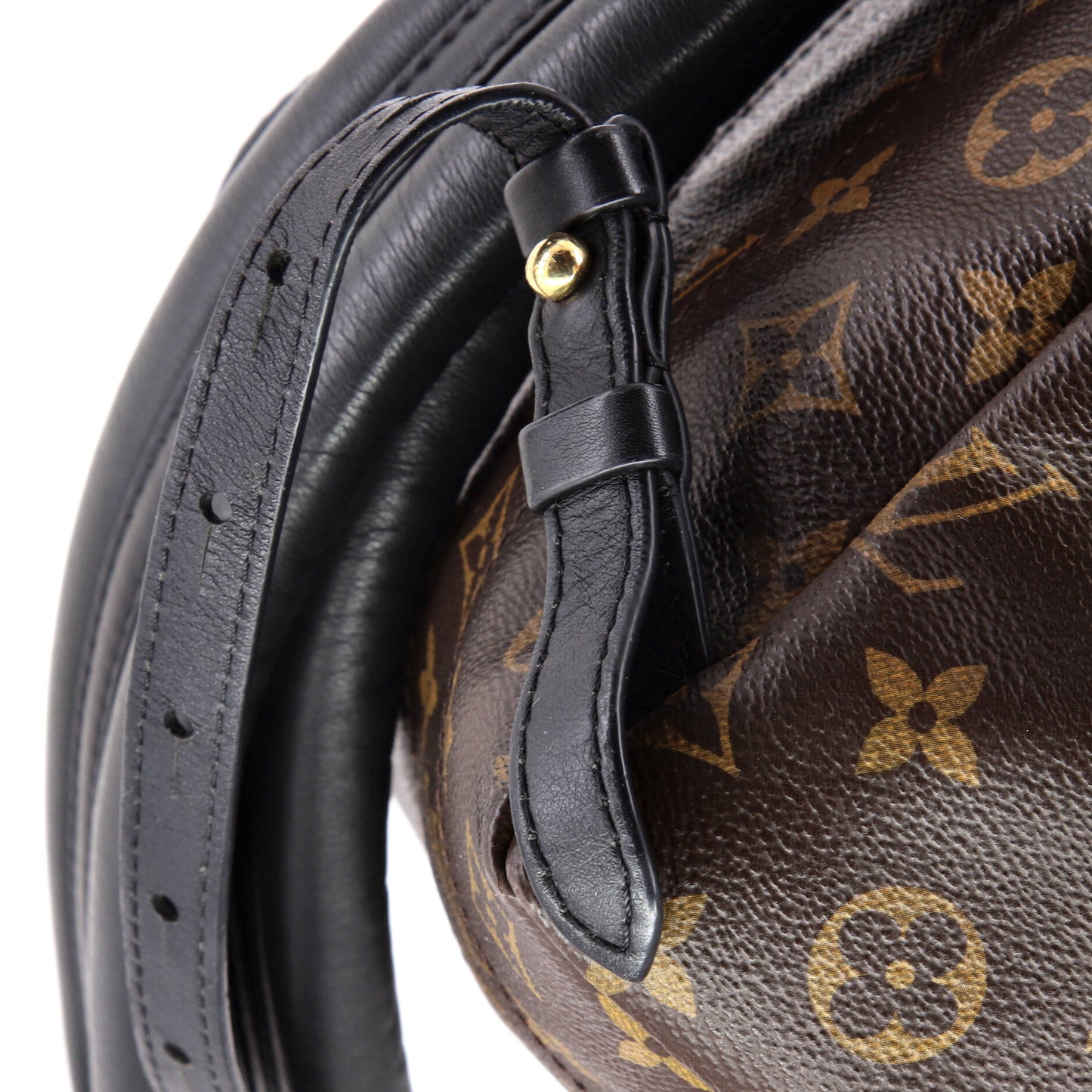 Louis Vuitton Palm Springs Backpack Monogram Canvas PM