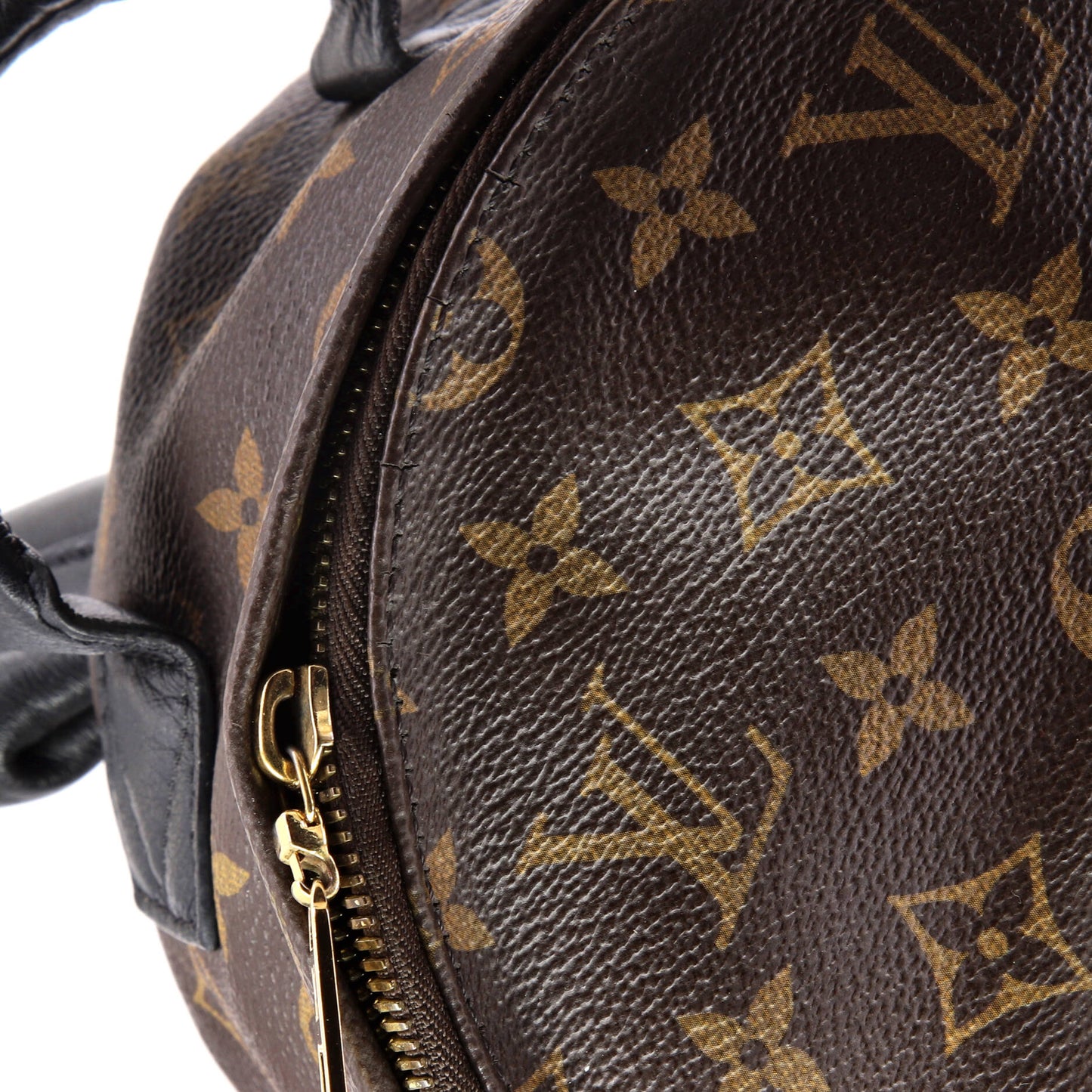 Louis Vuitton Palm Springs Backpack Monogram Canvas PM