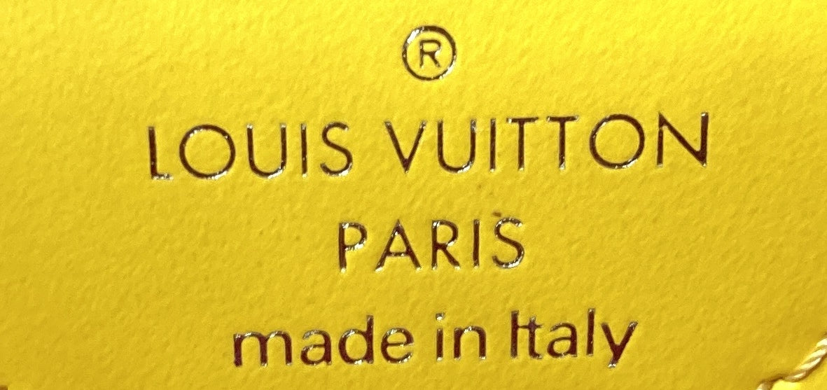 Louis Vuitton Papillon Trunk Bag Epi Leather