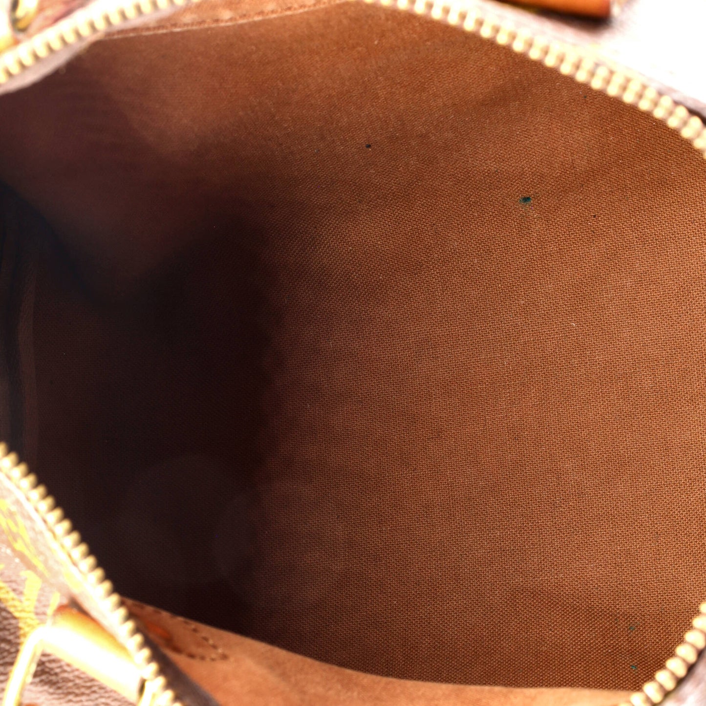 Louis Vuitton Speedy Handbag Monogram Canvas 25