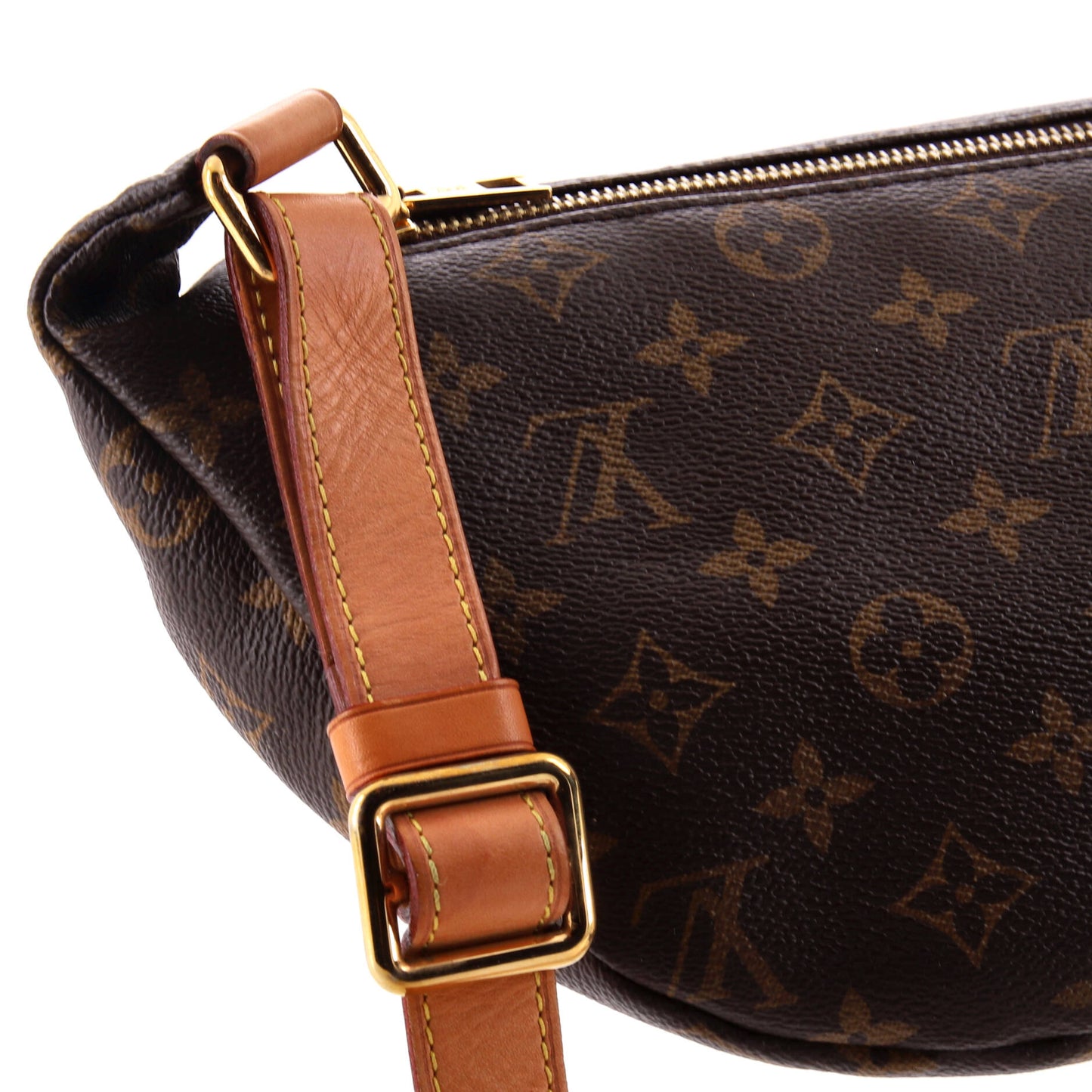Louis Vuitton Bum Bag Monogram Canvas