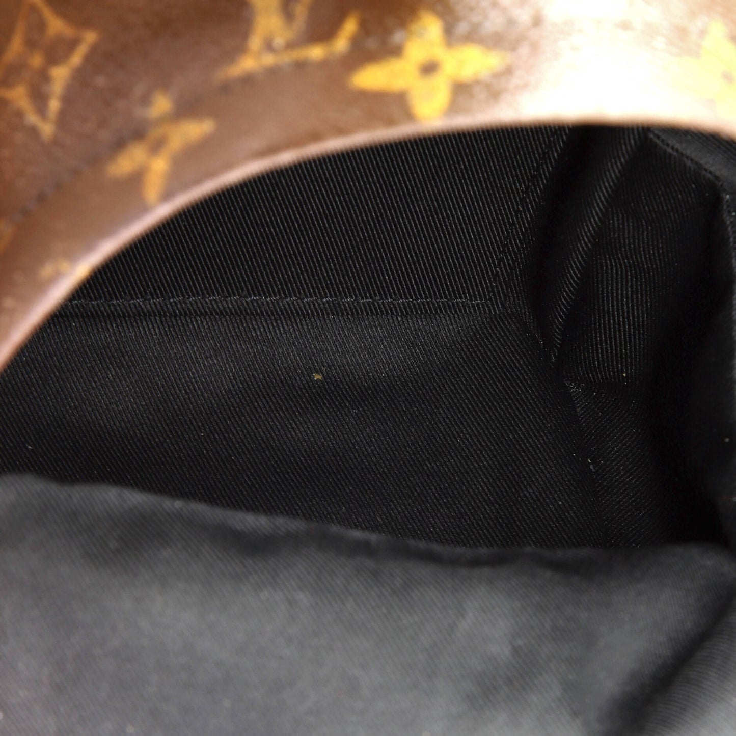 Louis Vuitton Palm Springs Backpack Monogram Canvas Mini