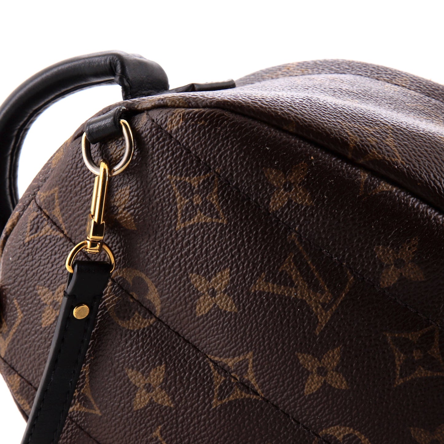Louis Vuitton Palm Springs Backpack Monogram Canvas Mini