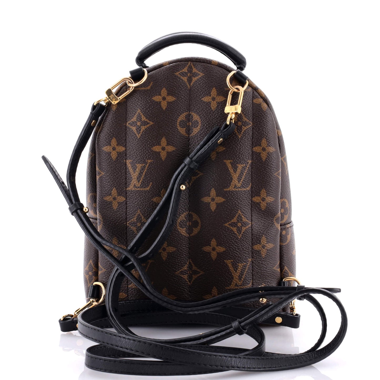 Louis Vuitton Palm Springs Backpack Monogram Canvas Mini