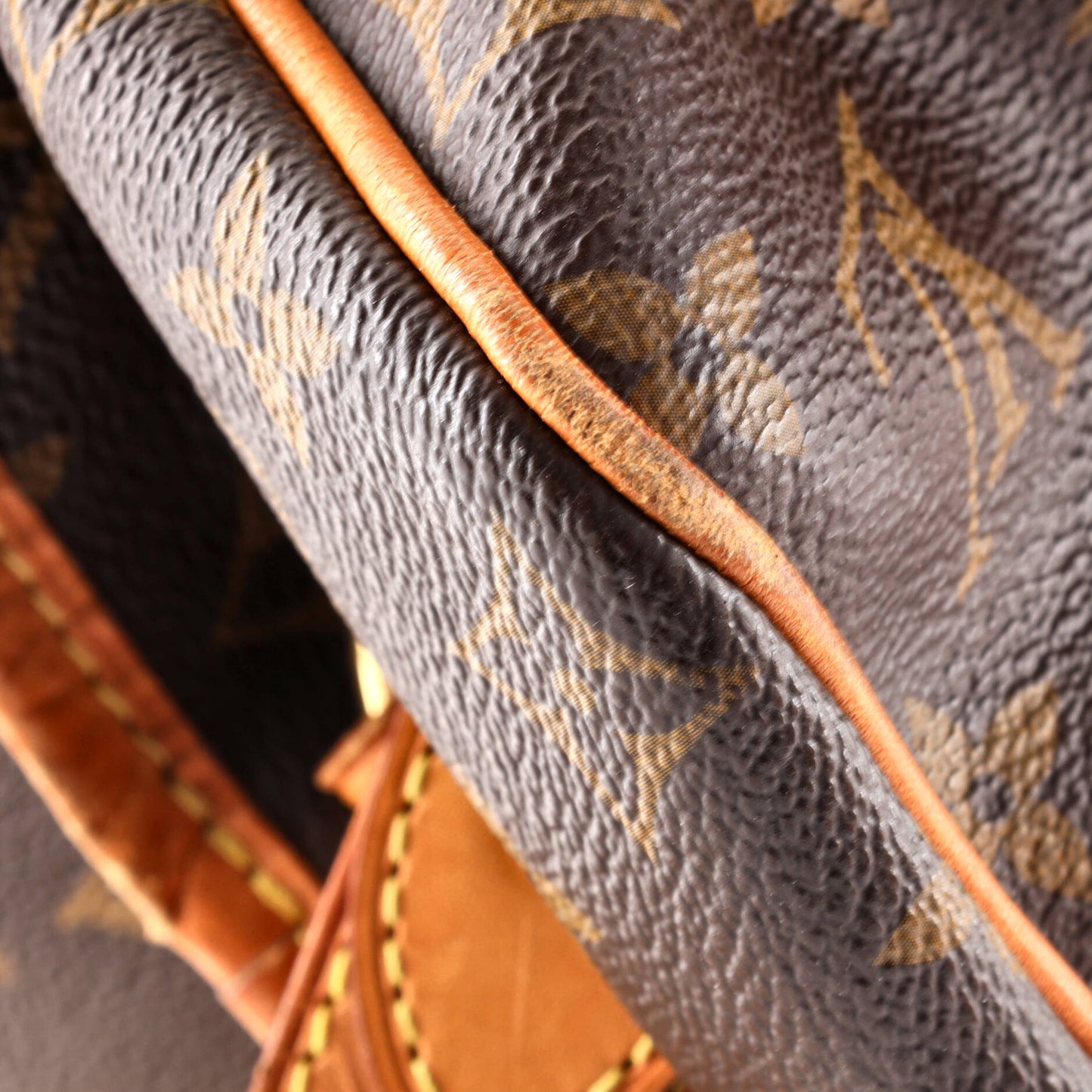 Louis Vuitton Delightful NM Handbag Monogram Canvas MM