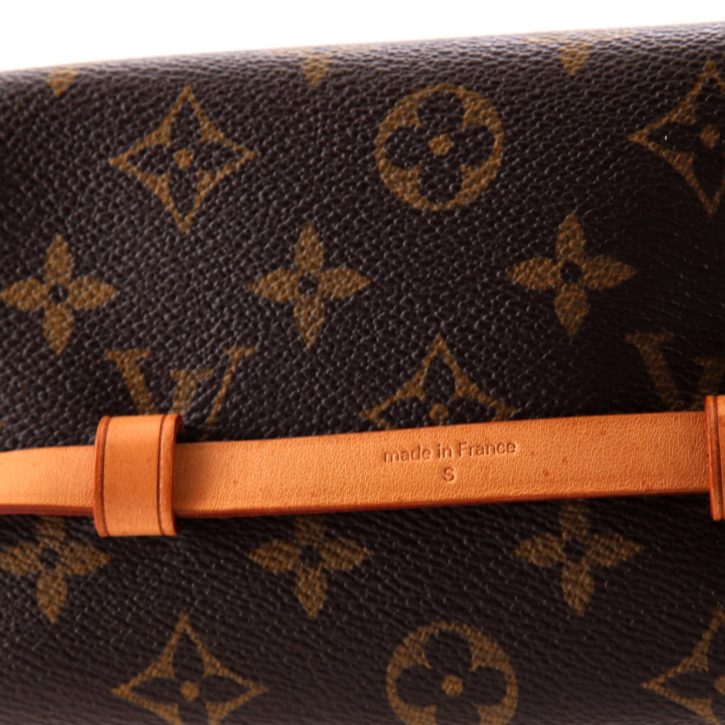 Louis Vuitton Florentine Waist Bag Monogram Canvas