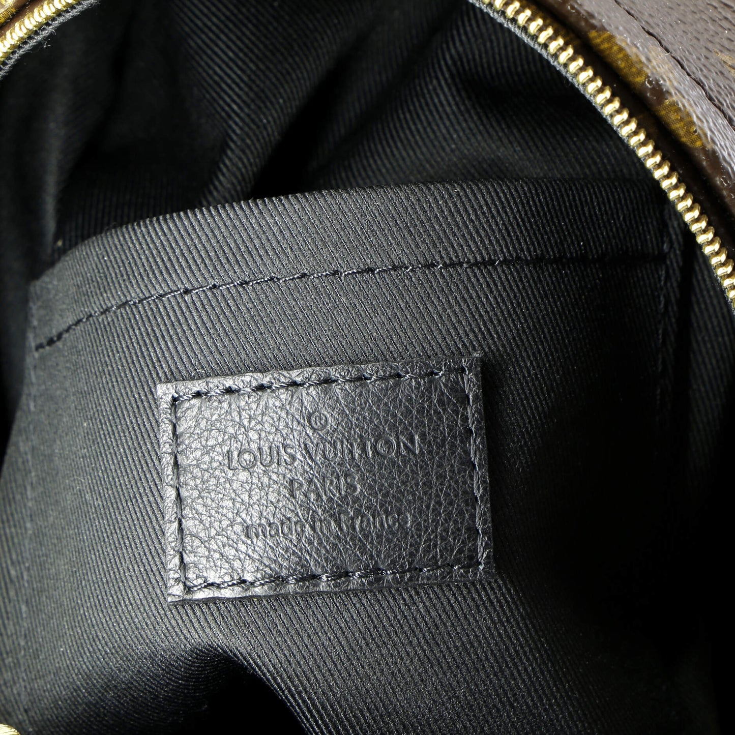 Louis Vuitton Palm Springs Backpack Monogram Canvas Mini