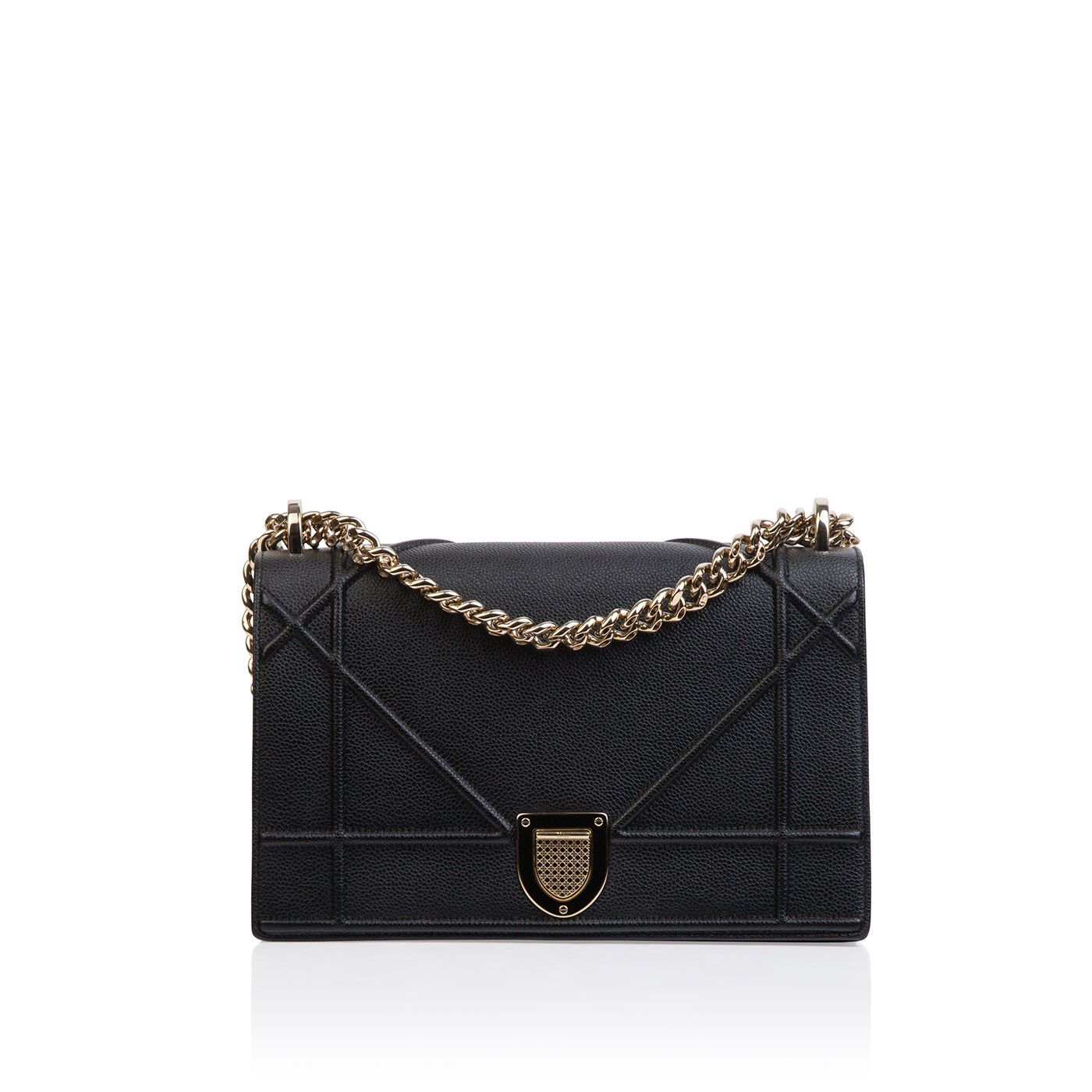 Christian Dior Diorama - Grained Leather