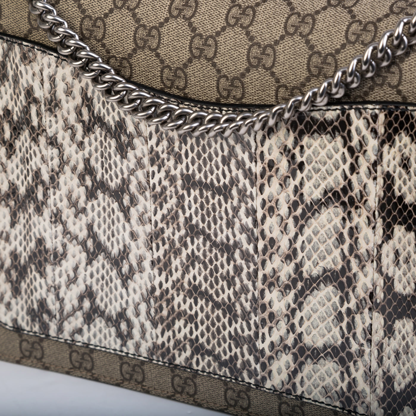 Gucci Embroidered Python Dionysus