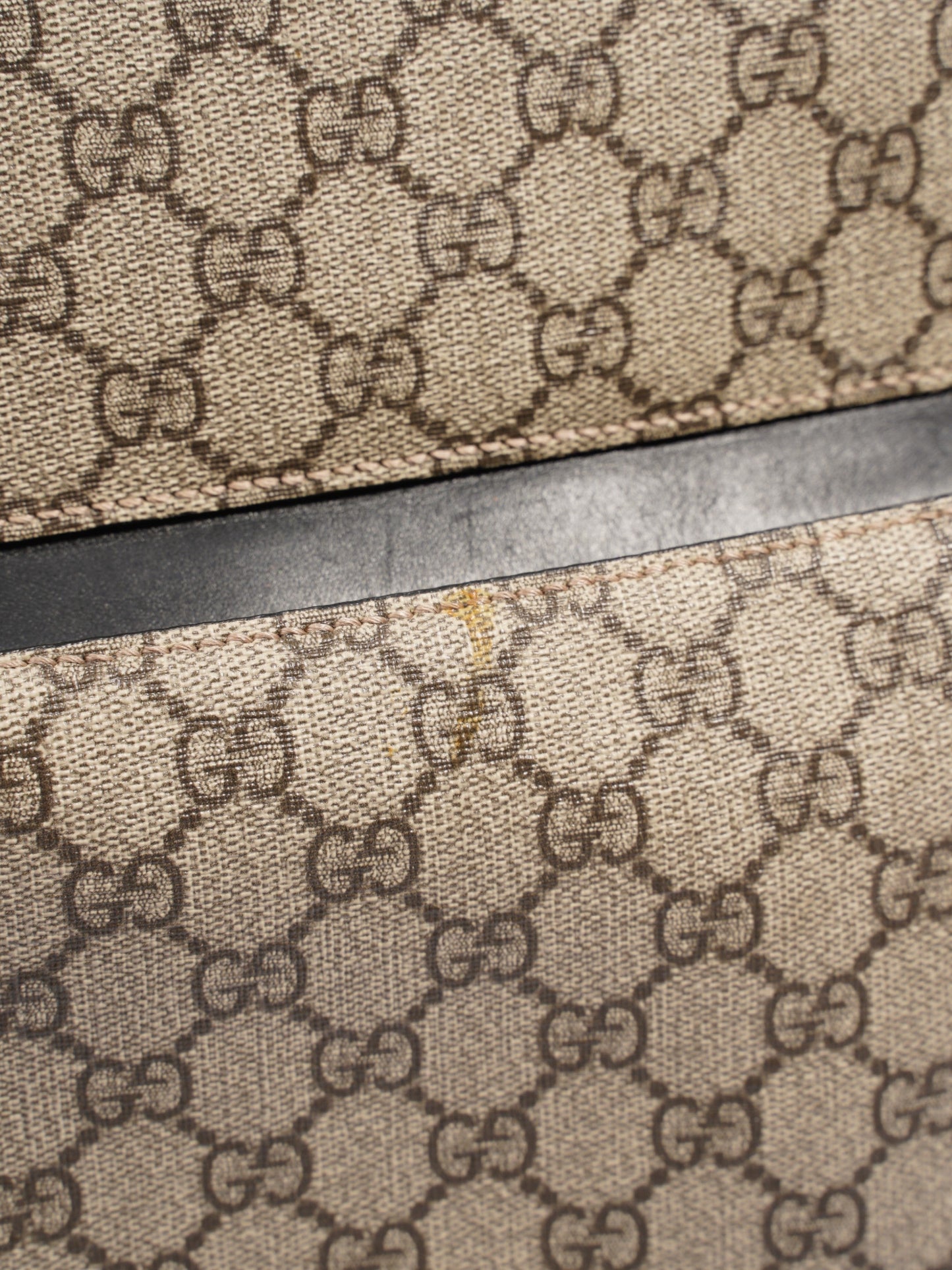 Gucci Eden GG Supreme Coated Canvas Medium