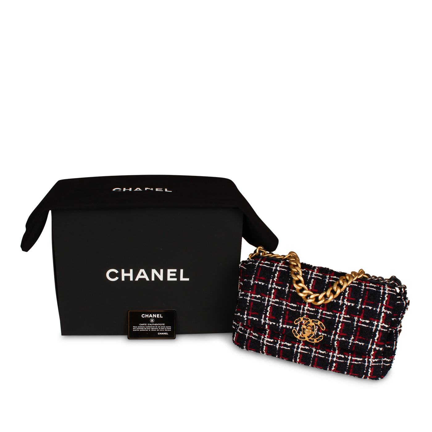 Chanel Chanel 19 Flap Bag - Small