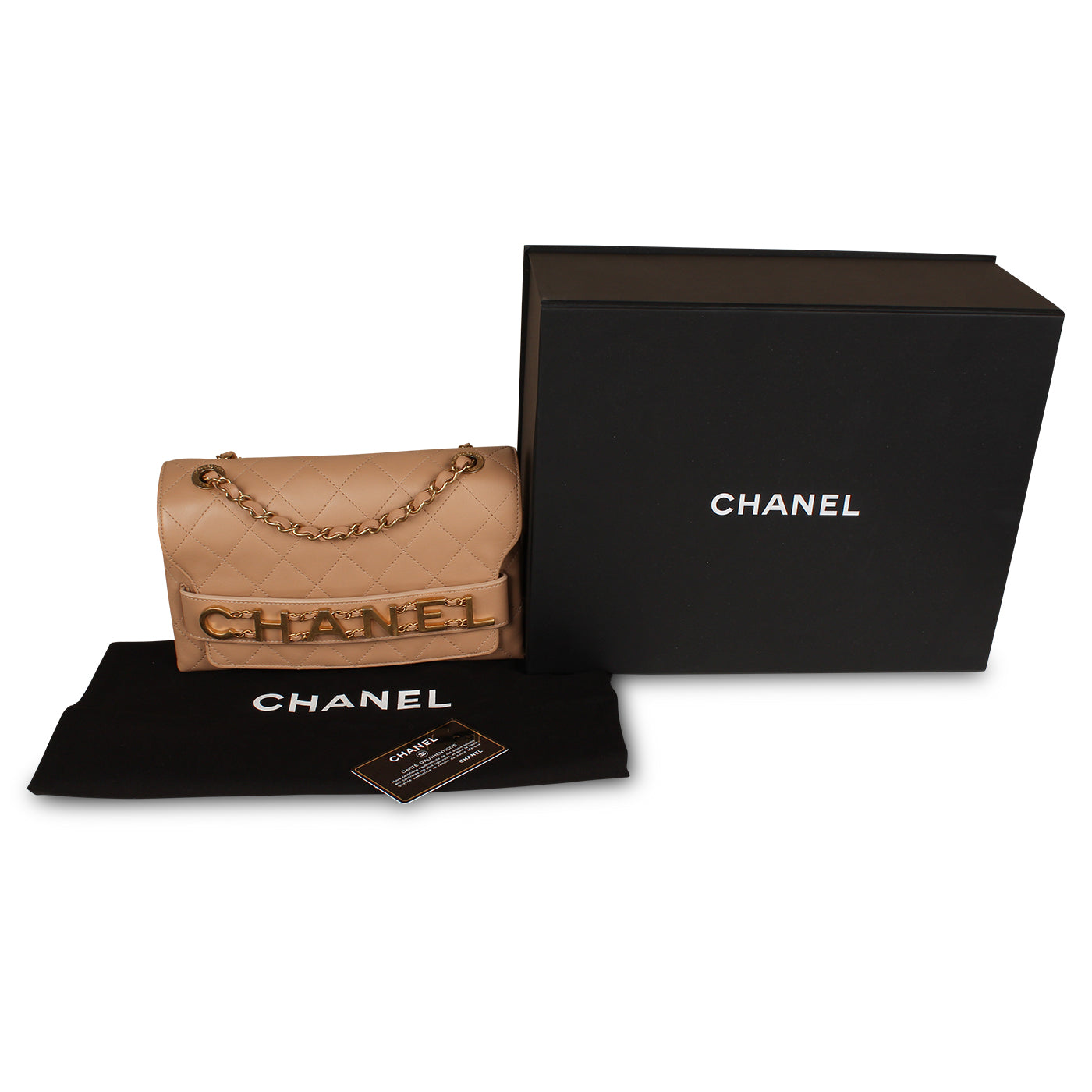 Chanel Medium Enchained Logo Flap Bag