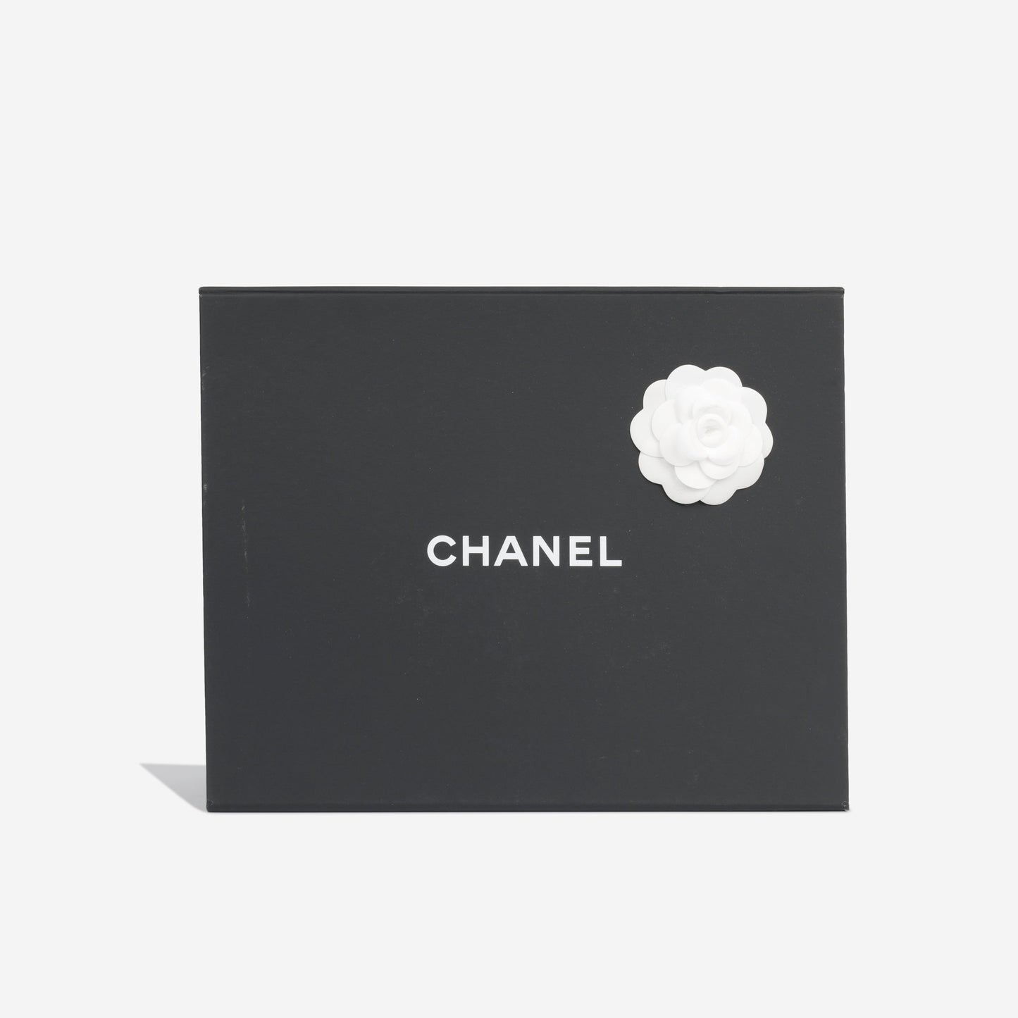 Chanel Chanel 19 - Small