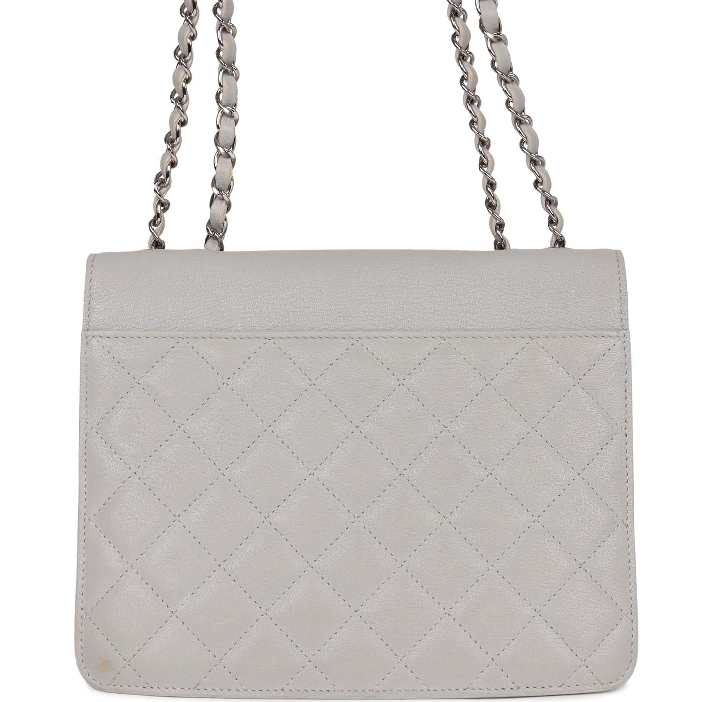 Chanel Companion Flap Bag Grey Goatskin Silver Hardware