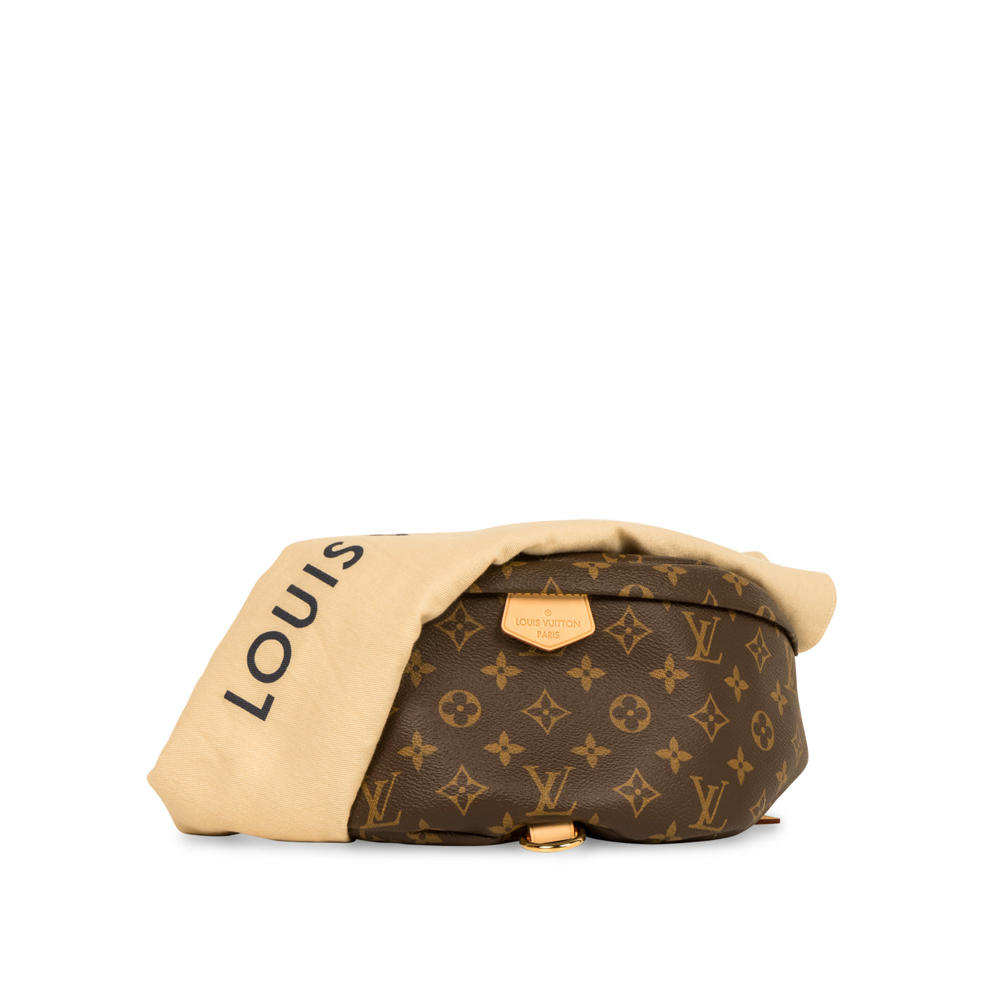 Louis Vuitton Bumbag - Monogram Canvas