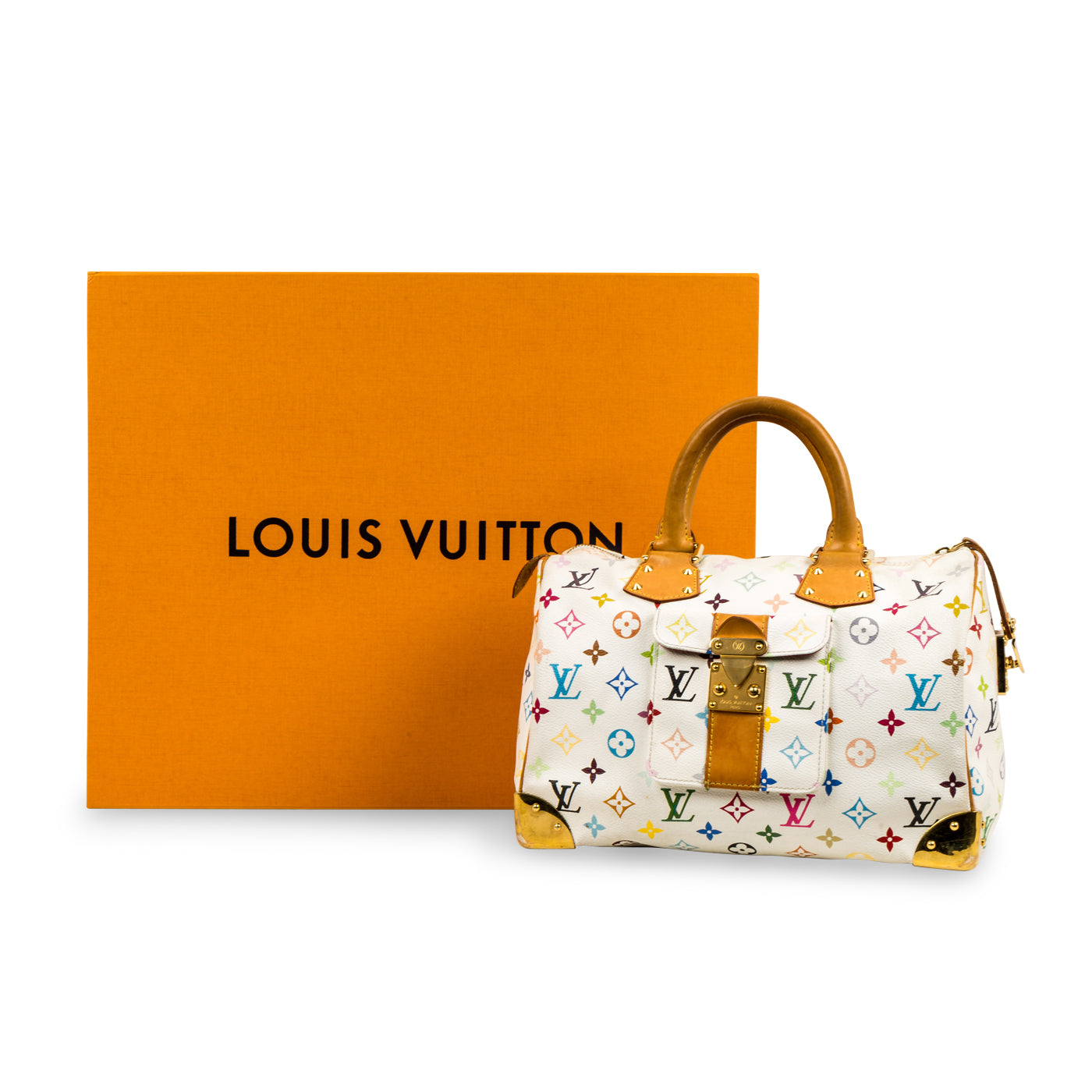Louis Vuitton Multicolore Speedy