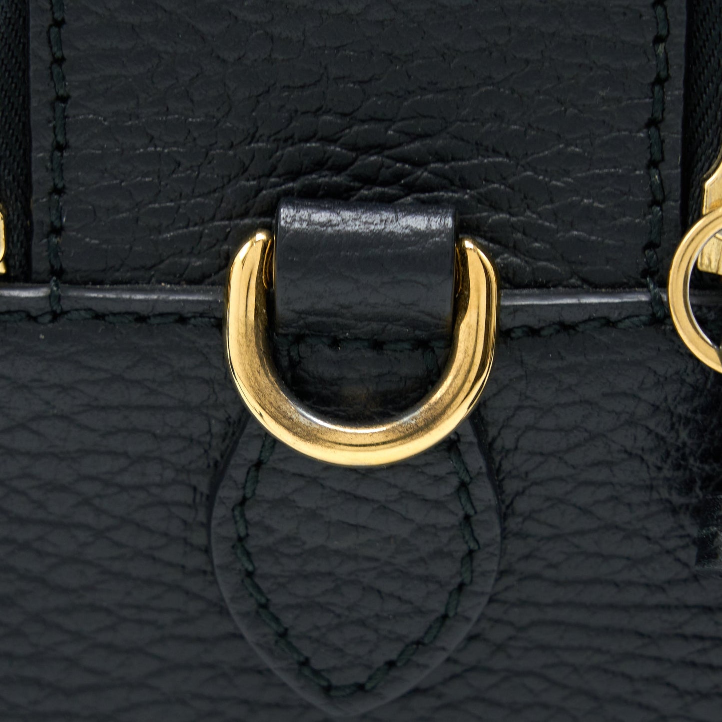 Gucci Snake Printed Camera Bag Calfskin Black