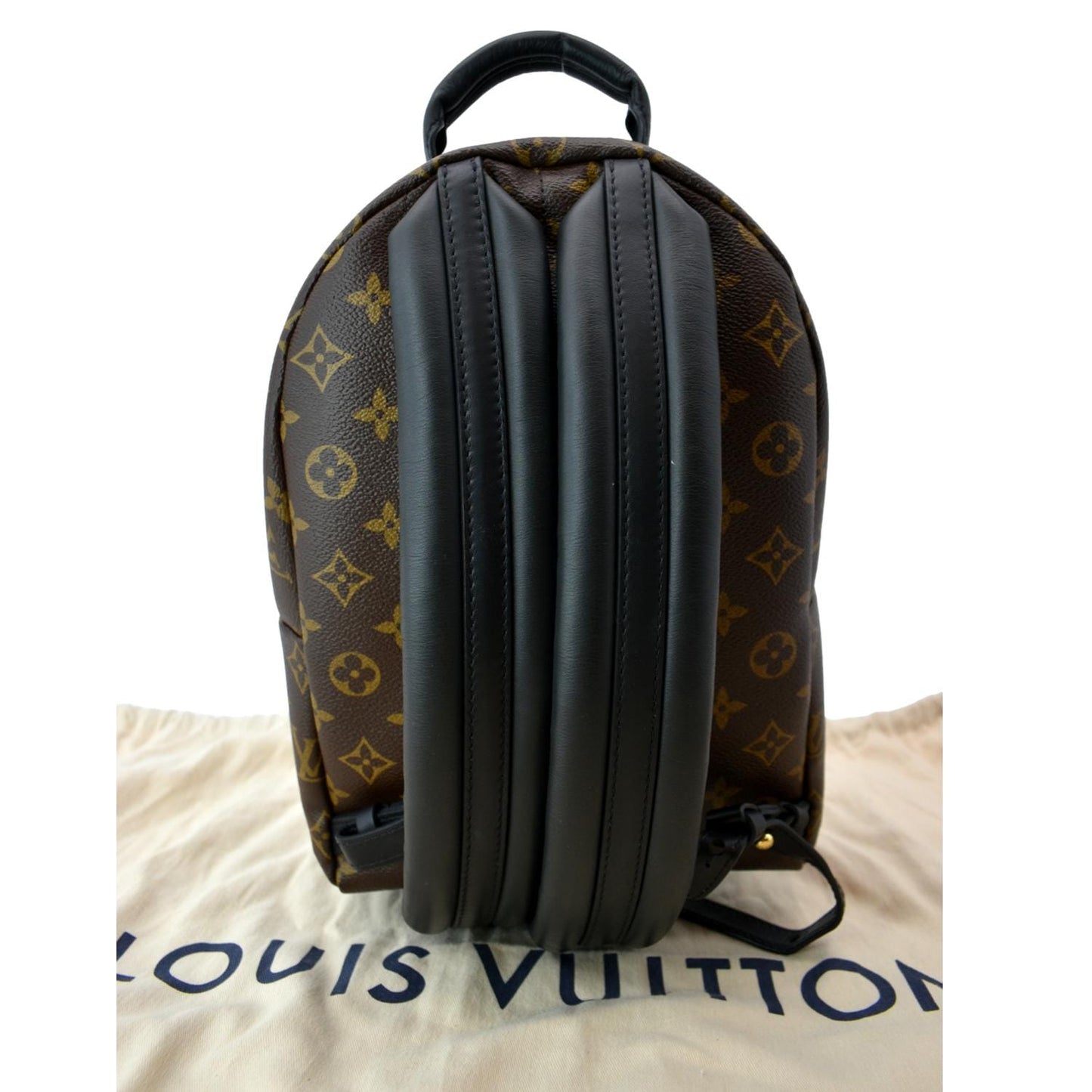 LOUIS VUITTON Palm Springs PM Monogram Canvas Backpack Brown