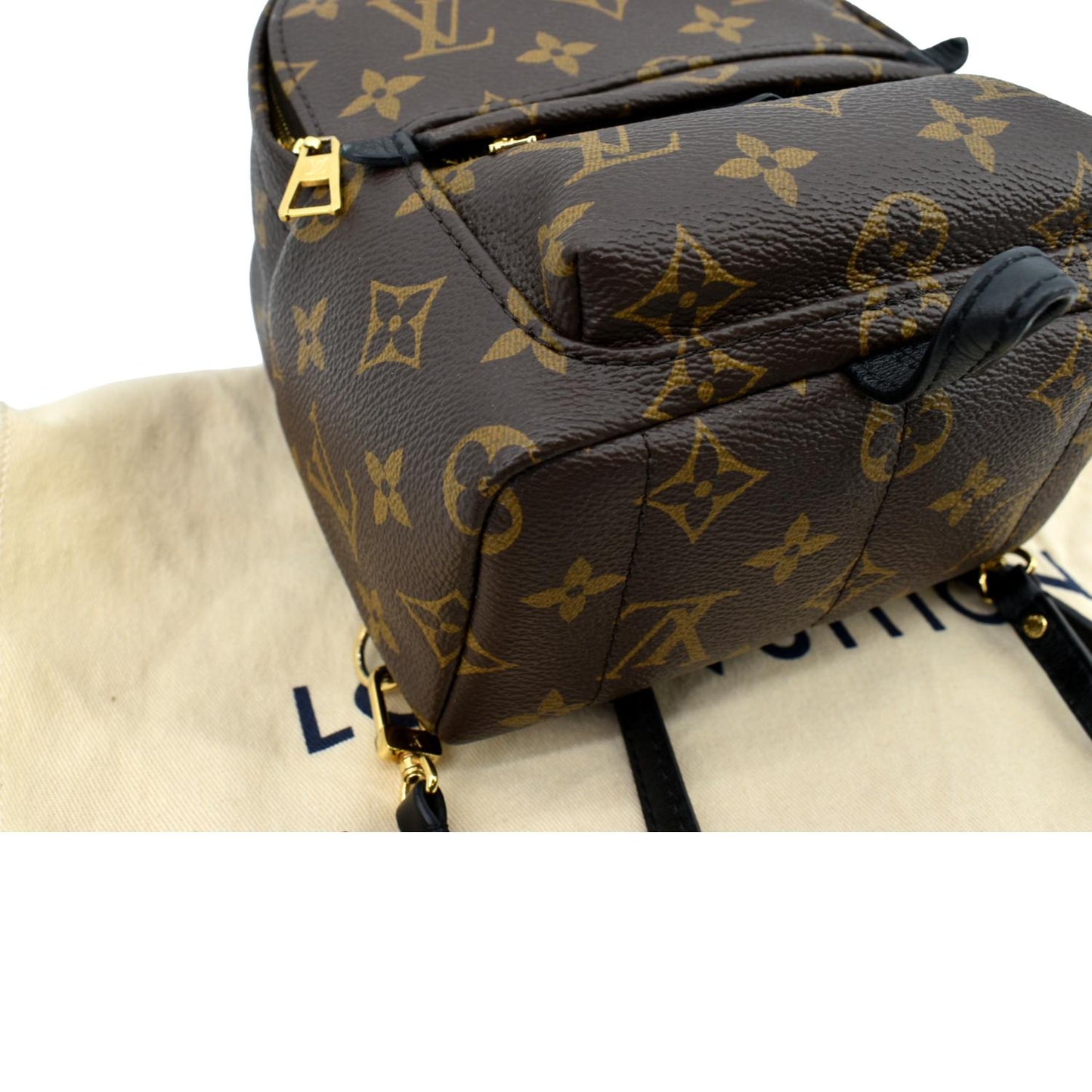 LOUIS VUITTON Palm Springs Mini Monogram Canvas Backpack Brown