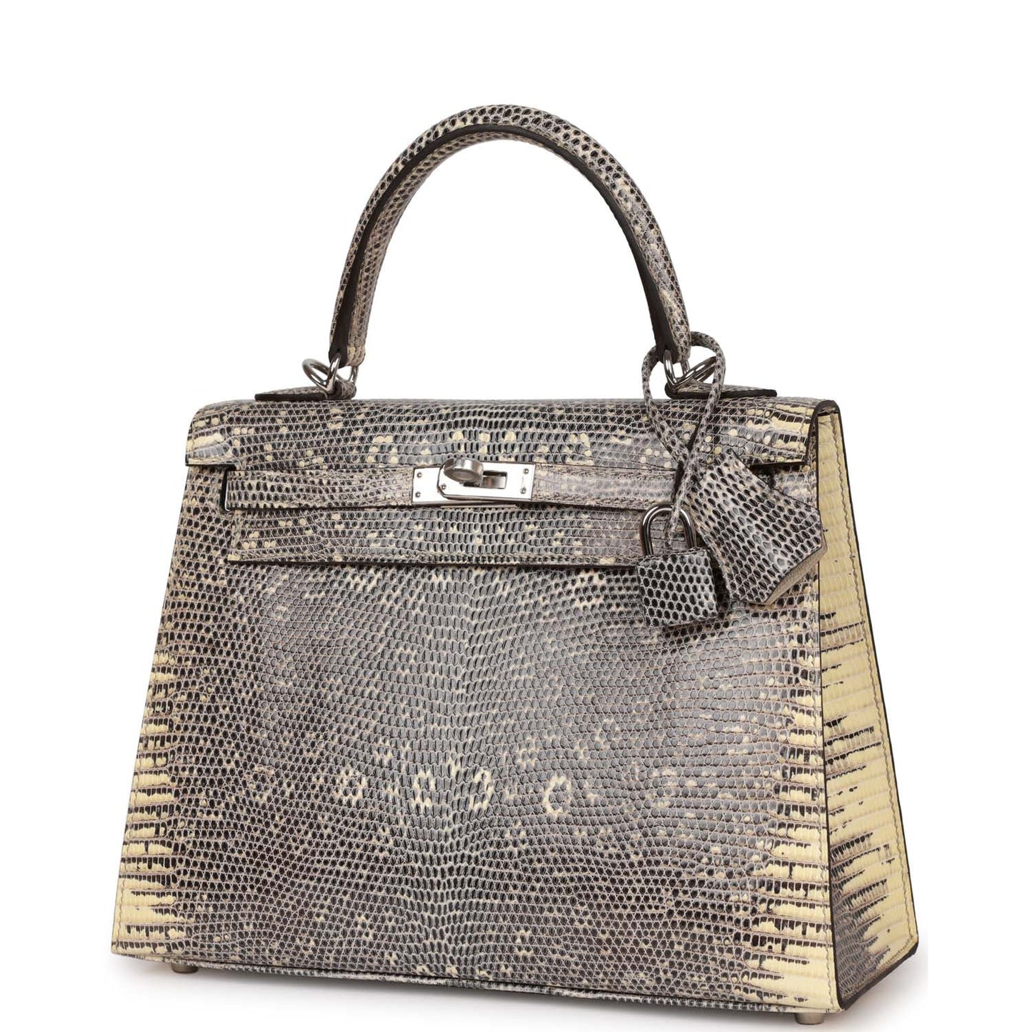 Hermes Kelly 25 Sellier Ombre Veranus Salvator Lizard Palladium Hardware