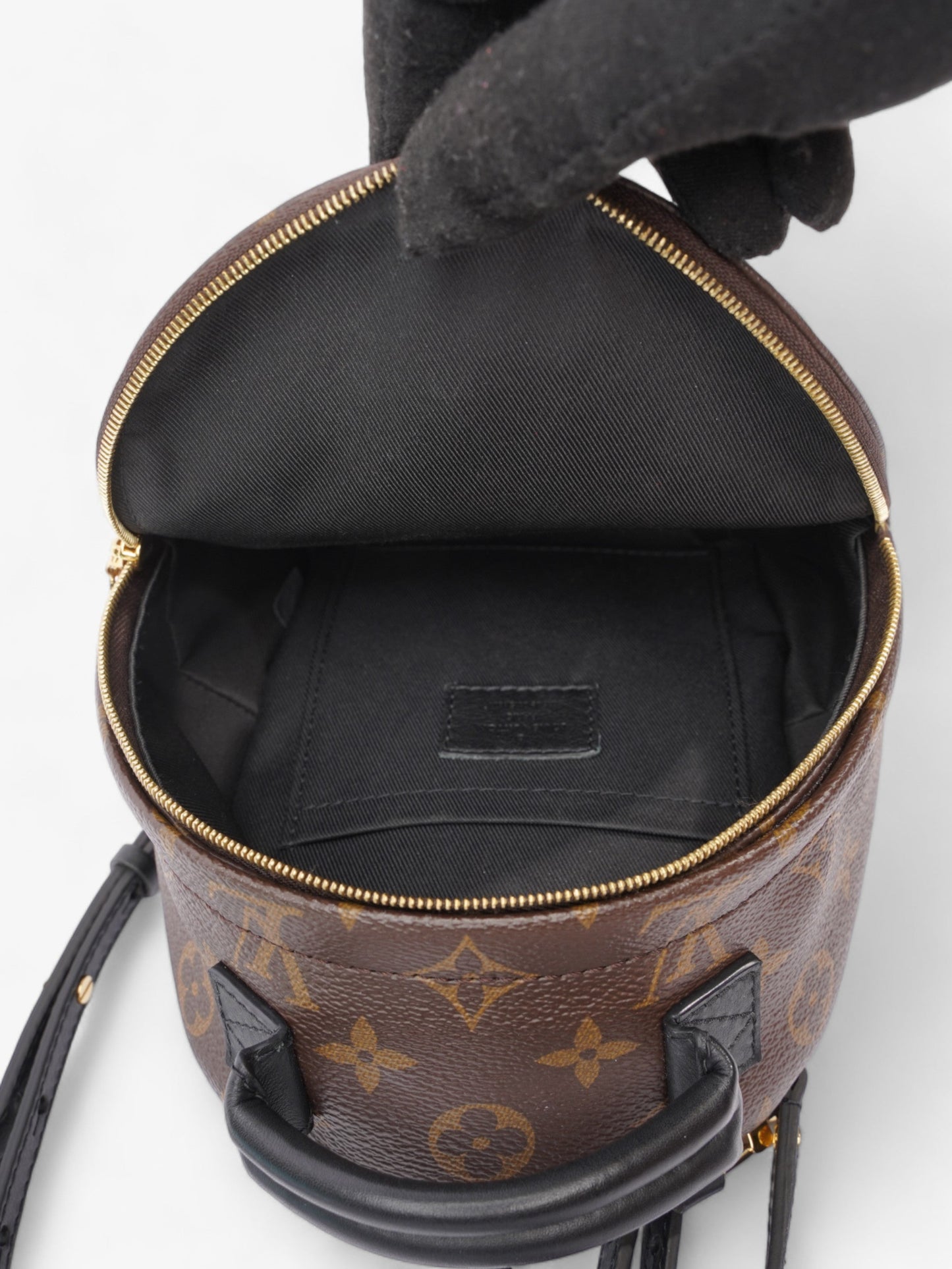 Louis Vuitton Palm Springs Monogram Coated Canvas Mini