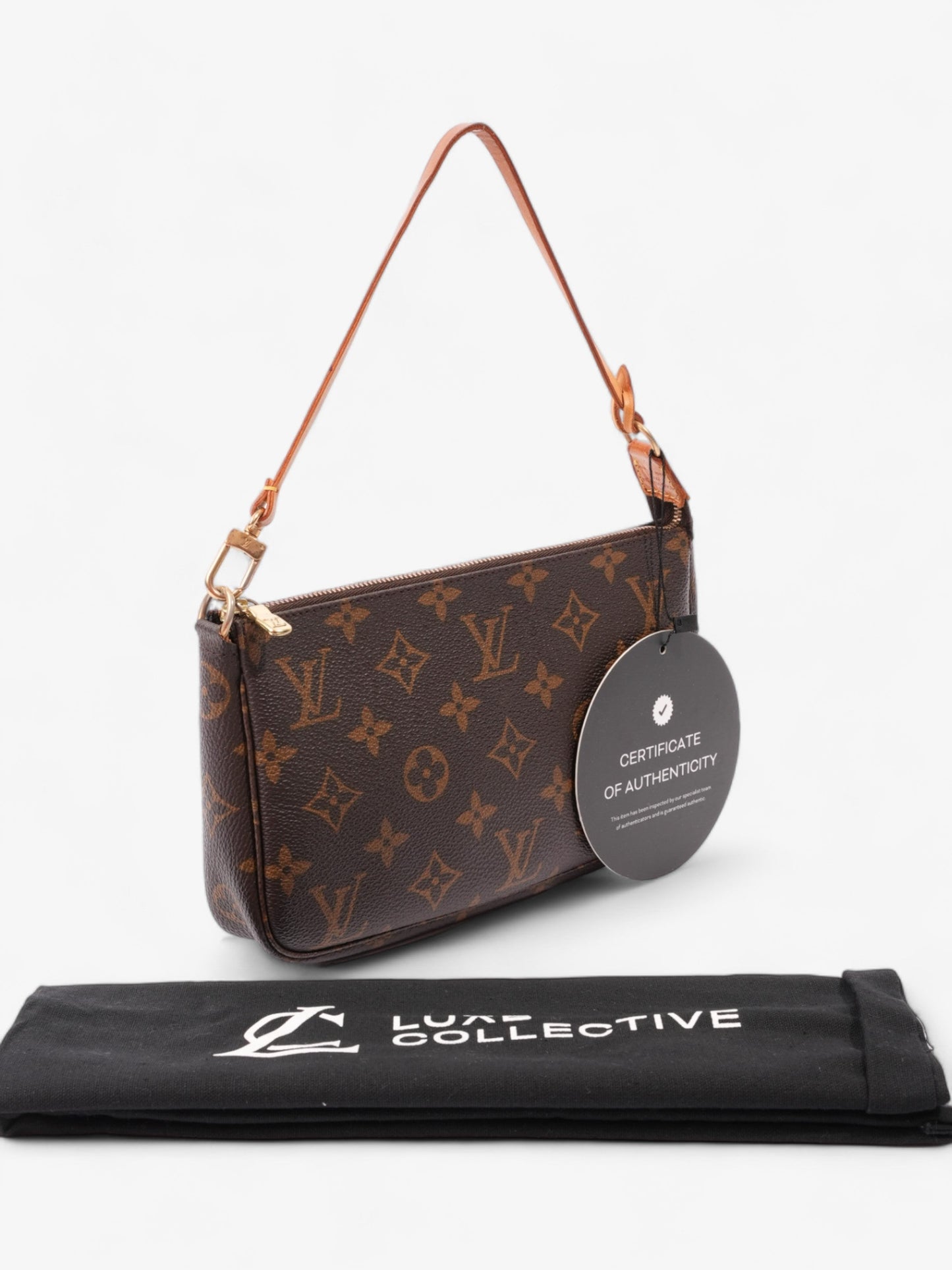 Louis Vuitton Pochette Accessoires Monogram Coated Canvas