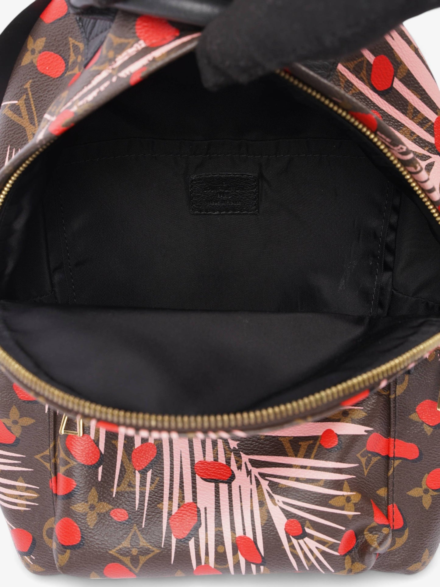 Louis Vuitton Jungle Dot Palm Springs Monogram / Red / Pink Coated Canvas