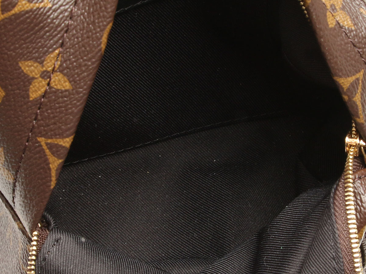 Louis Vuitton Mini Monogram Palm Springs Backpack