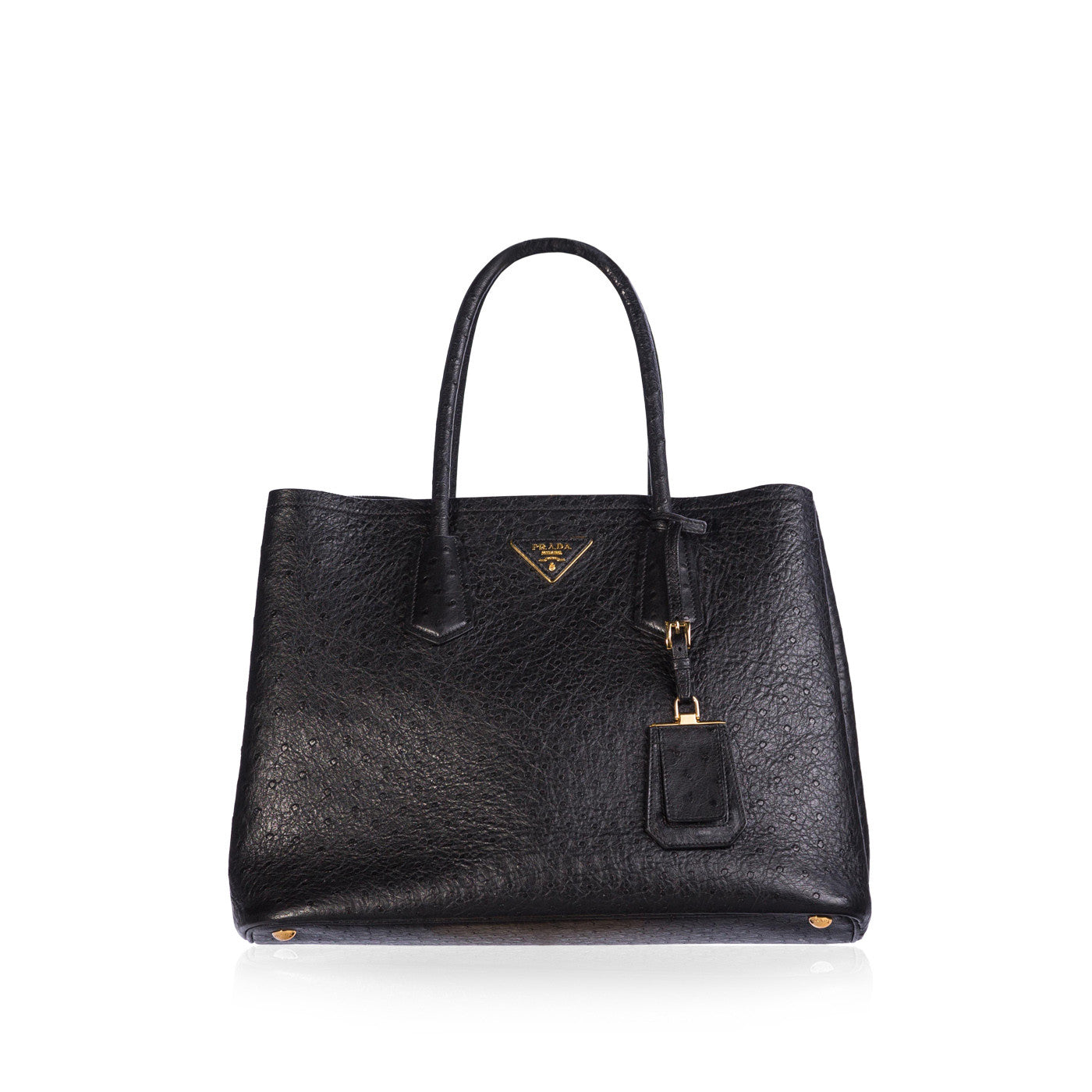 Prada Ostrich Double Bag