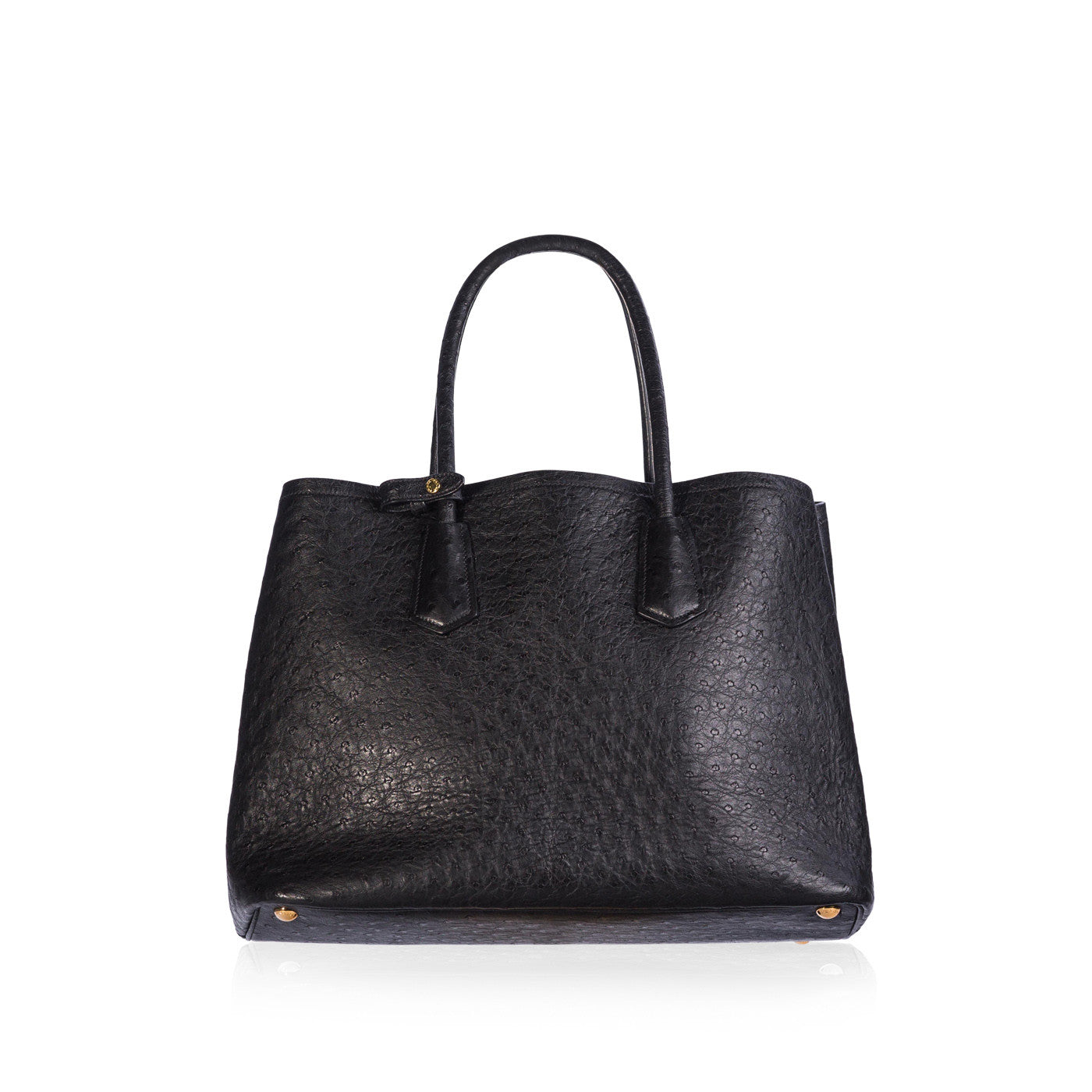 Prada Ostrich Double Bag