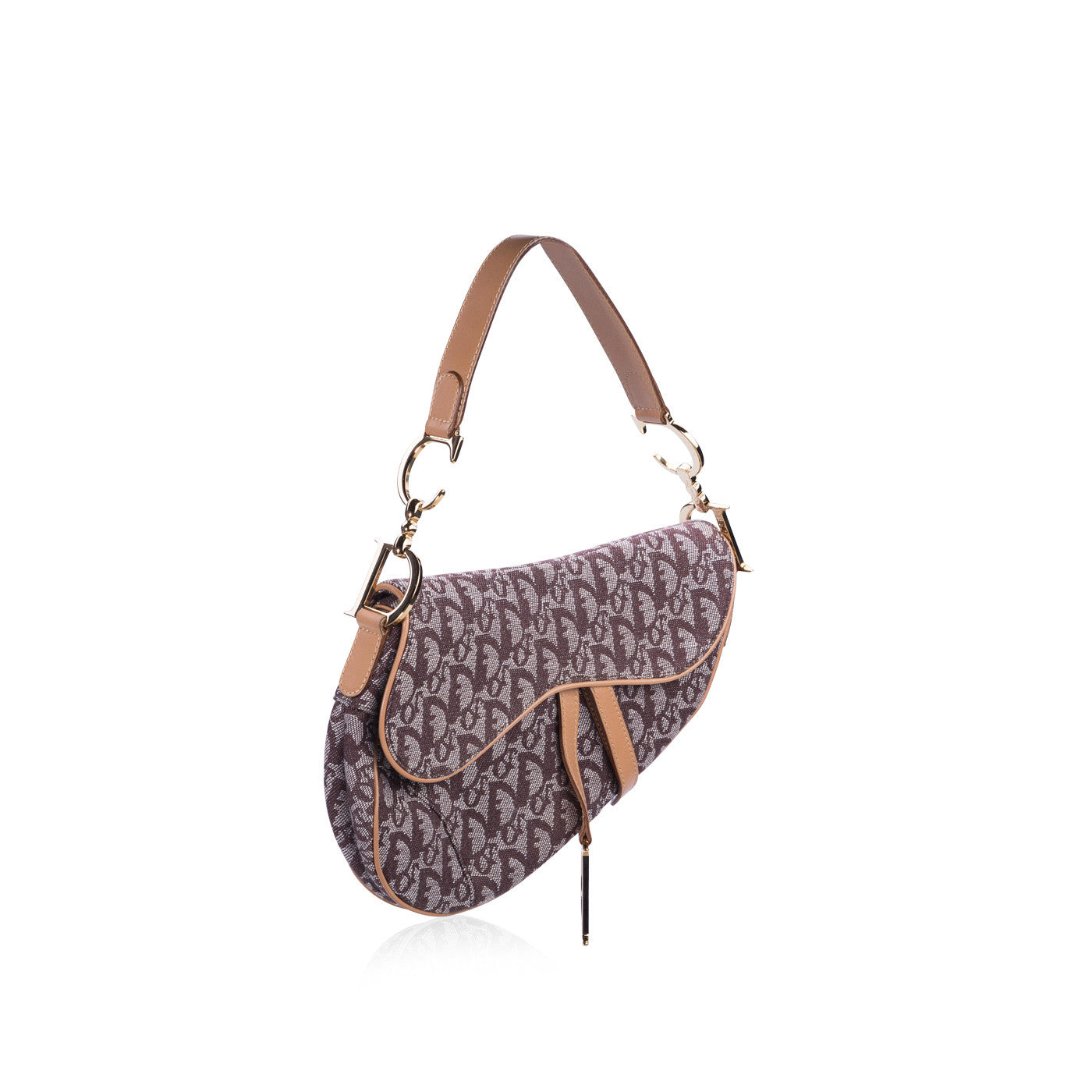 Christian Dior Iconic Saddle Bag