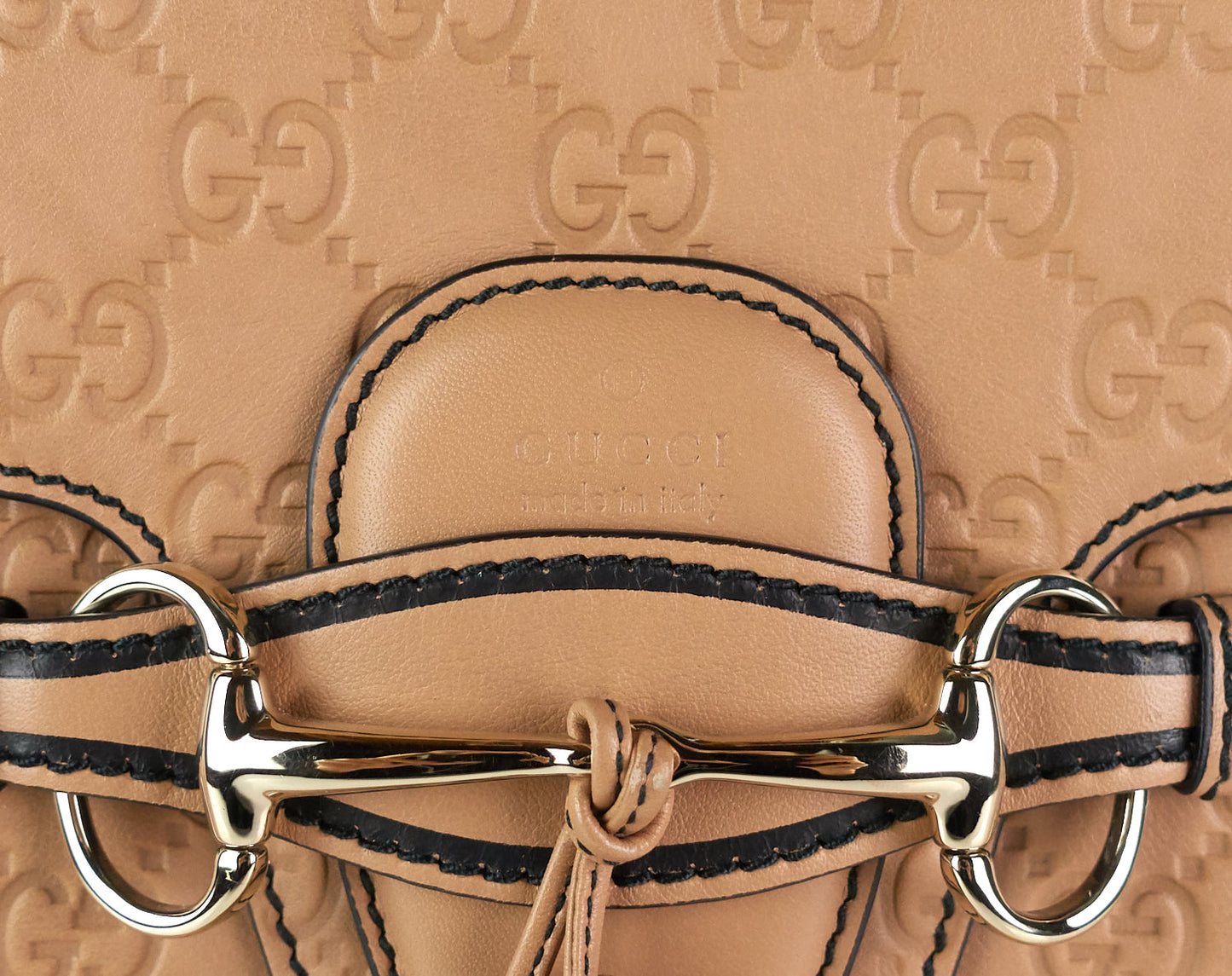 Gucci Emily Guccissima Leather Large Bag