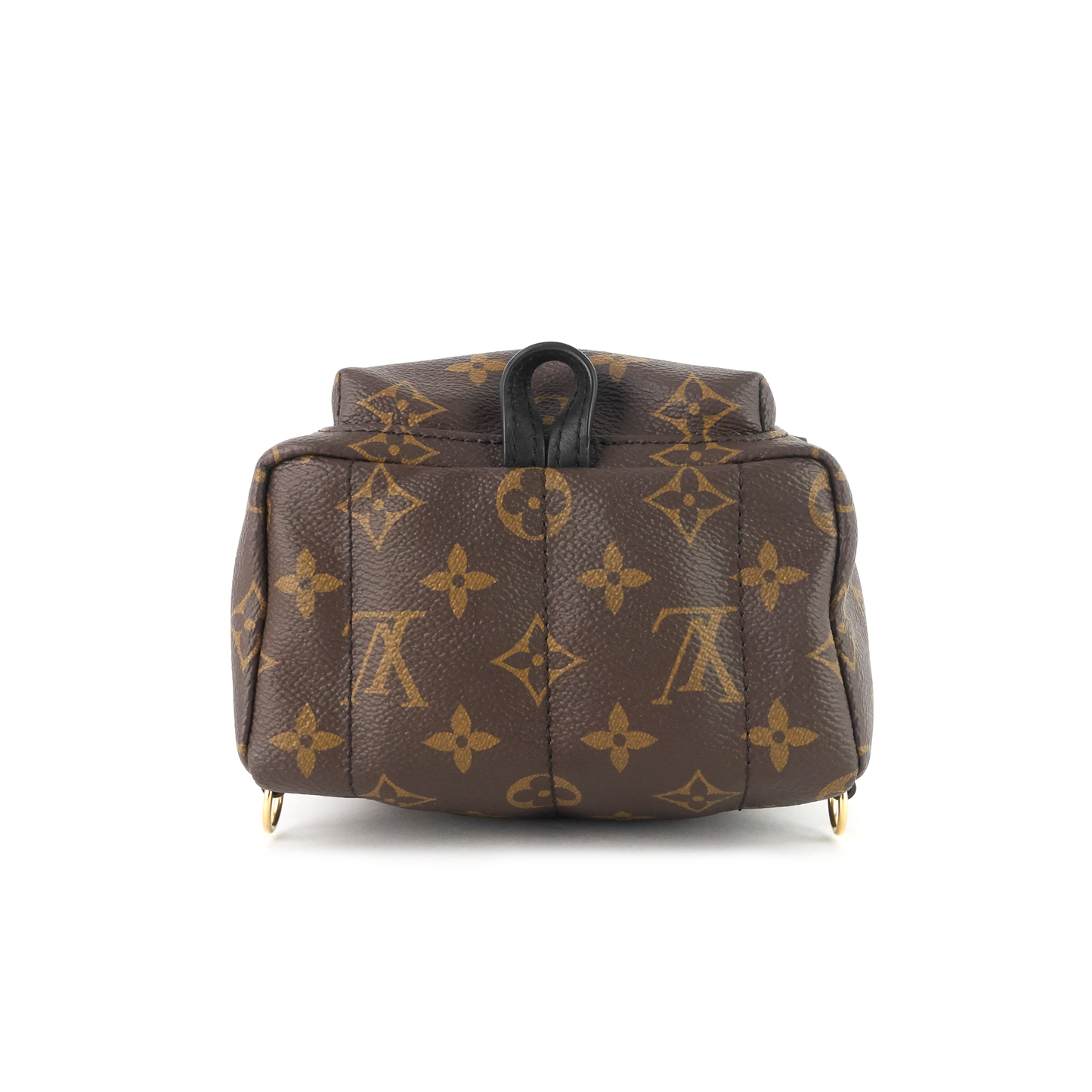 Louis Vuitto Palm Springs Mini Monogram Canvas Backpack