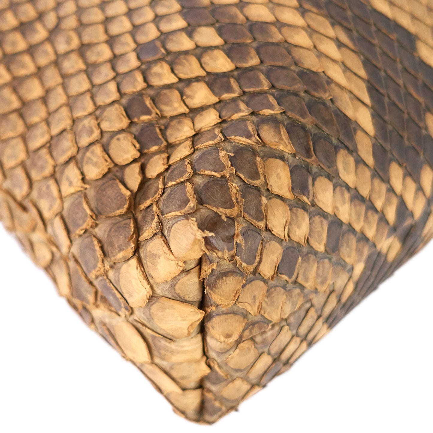 Gucci Zipped Python Leather Clutch Bag