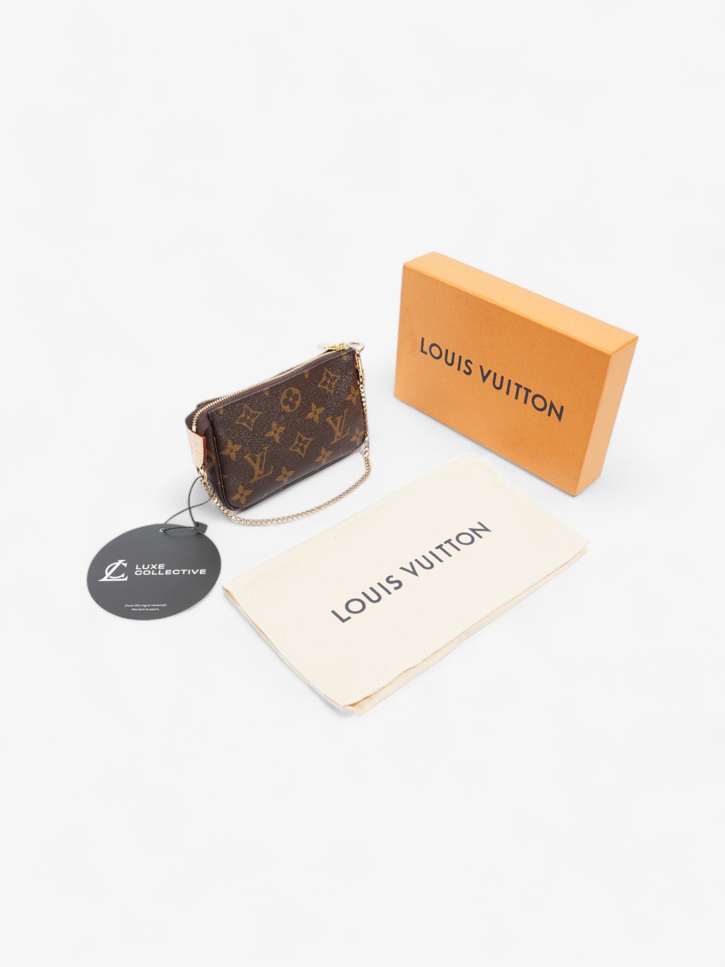 Louis Vuitton Mini Pochette Accessoires Monogram Coated Canvas
