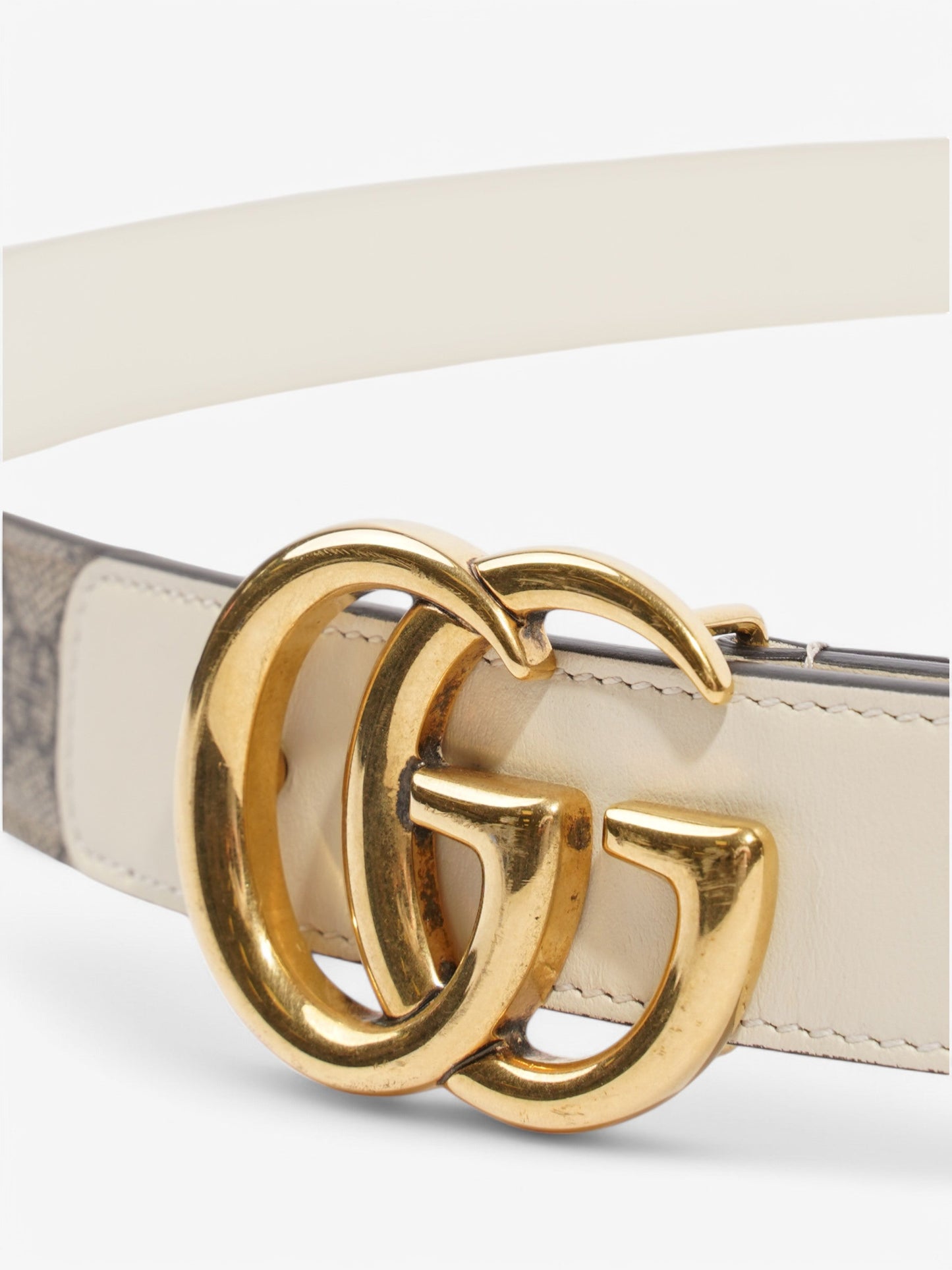 Gucci GG Blet Beige / White Coated Canvas