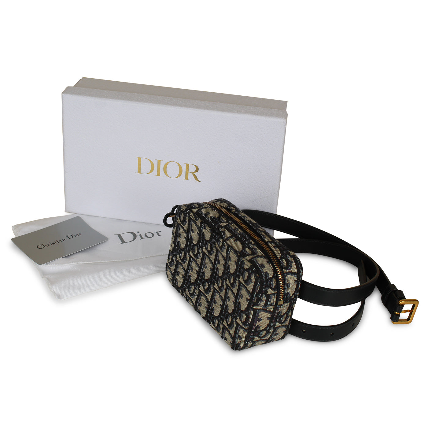 Christian Dior Mini Belt Bag - Oblique Canvas