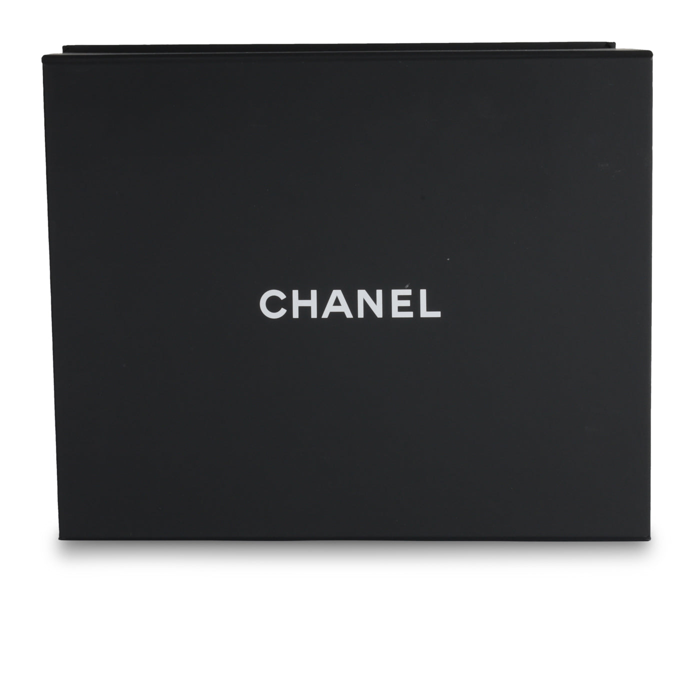 Chanel Chanel 19 Flap Bag - Large