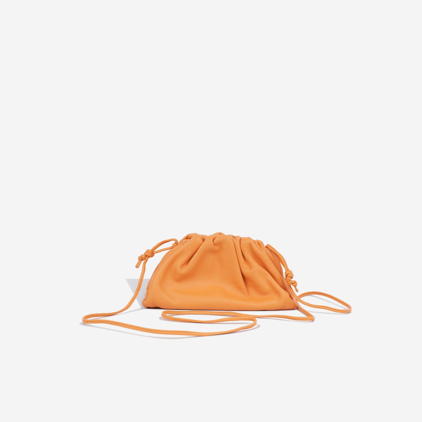 Bottega Veneta Mini Pouch