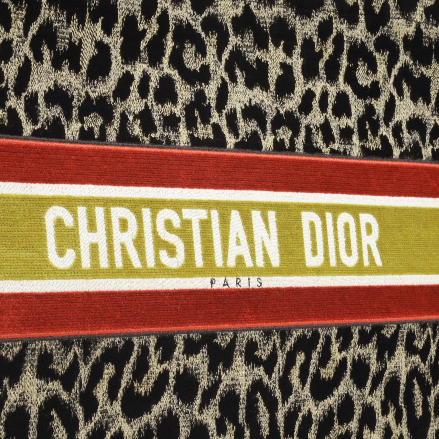 Christian Dior Large Book Tote