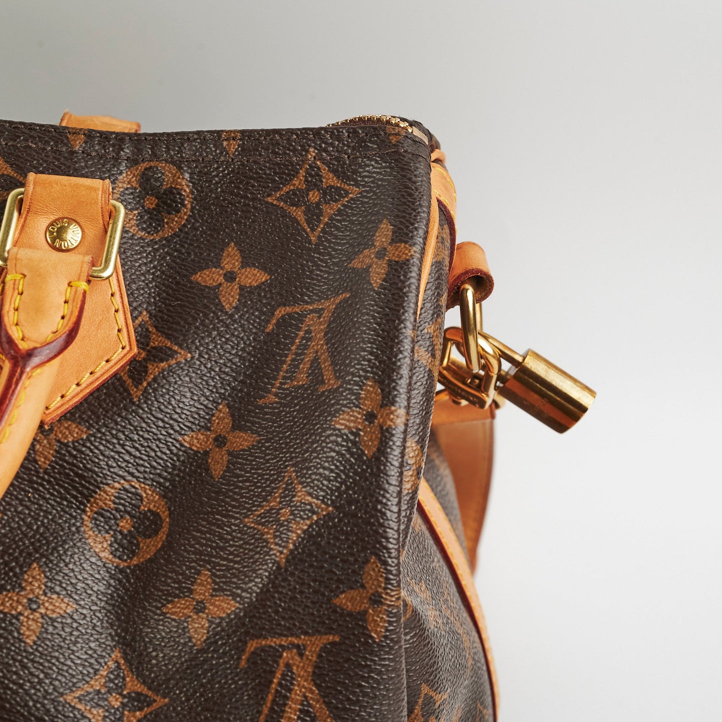 Louis Vuitton Speedy 30 Bandoulière