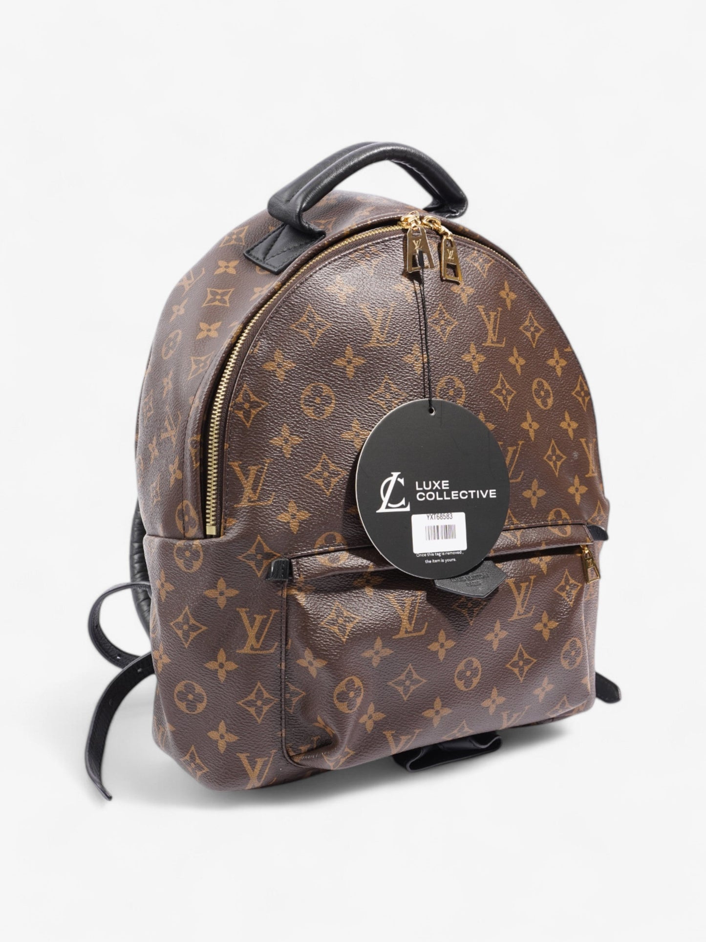 Louis Vuitton Palm Springs Monogram / Black Coated Canvas MM