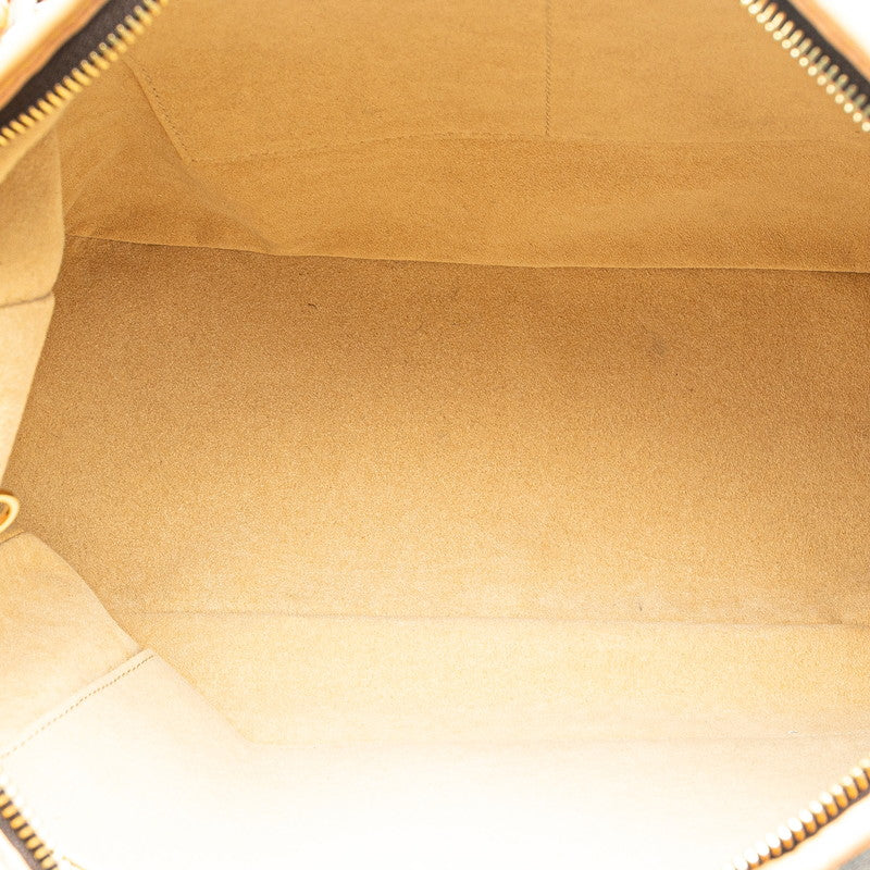 Louis Vuitton Estrela MM Monogram 2way bag