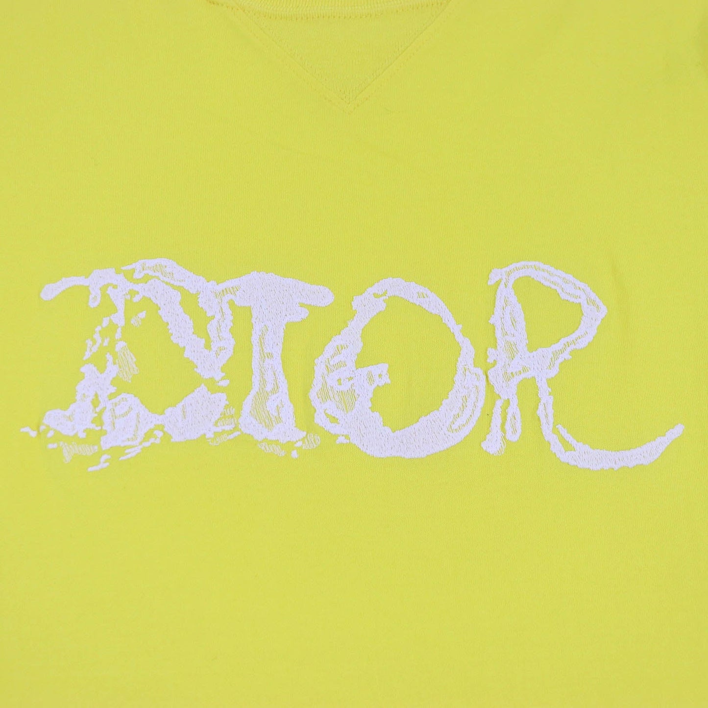 DIOR Peter Doig Logo T-shirt Yellow XL