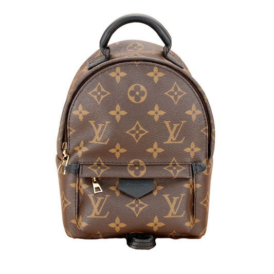 Louis Vuitton Palm Springs Mini Backpack
